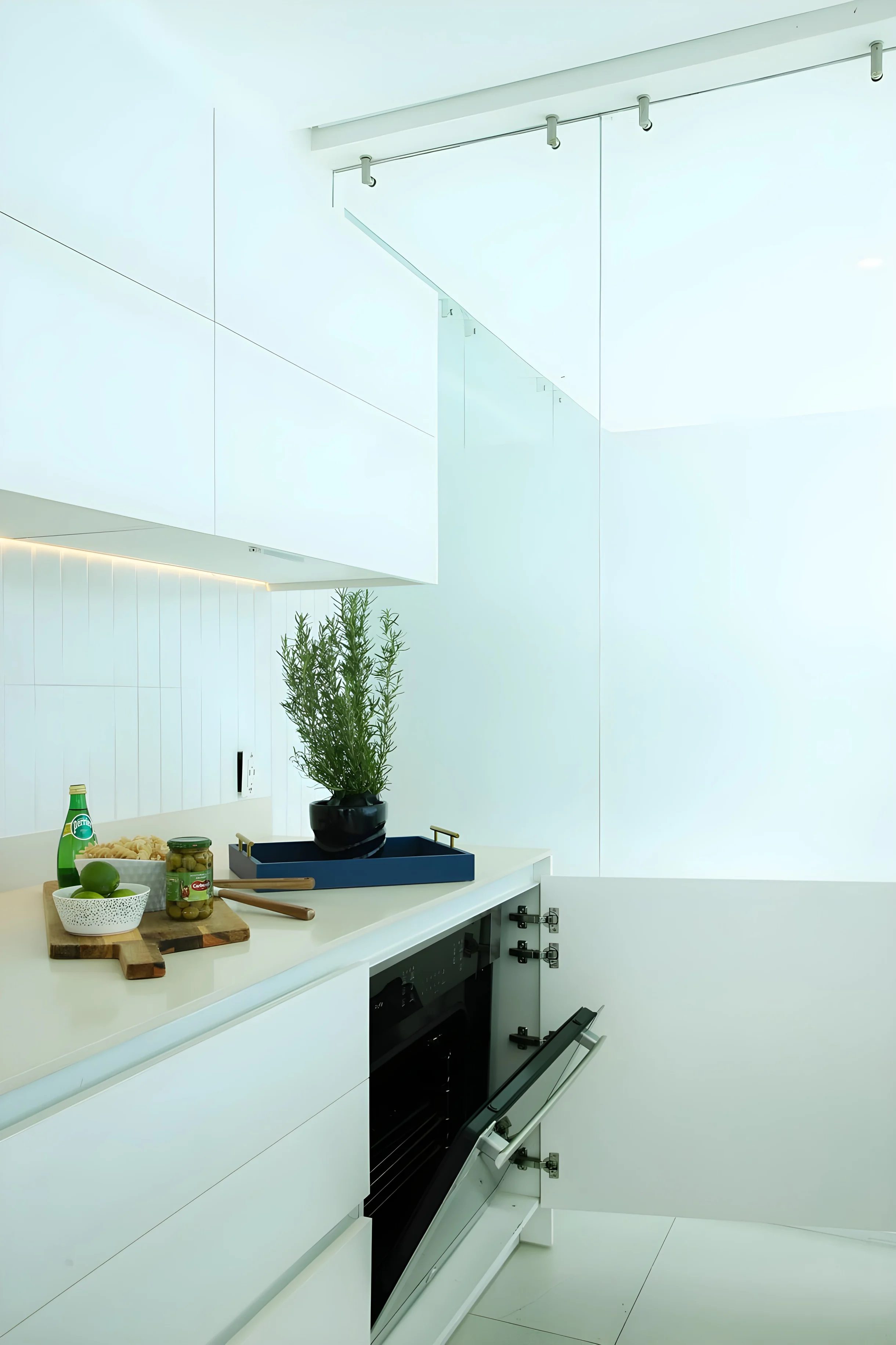 Wander Puerto Vallarta Crest #30