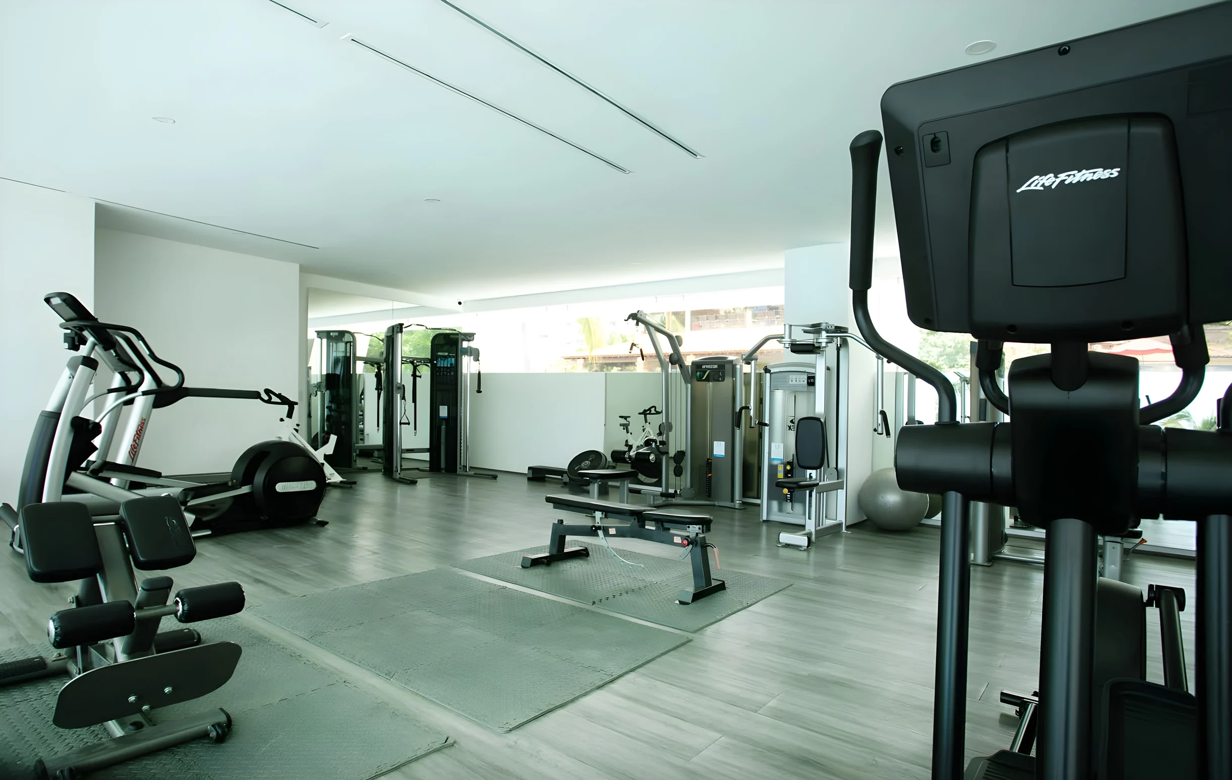 Wander Puerto Vallarta Crest #19