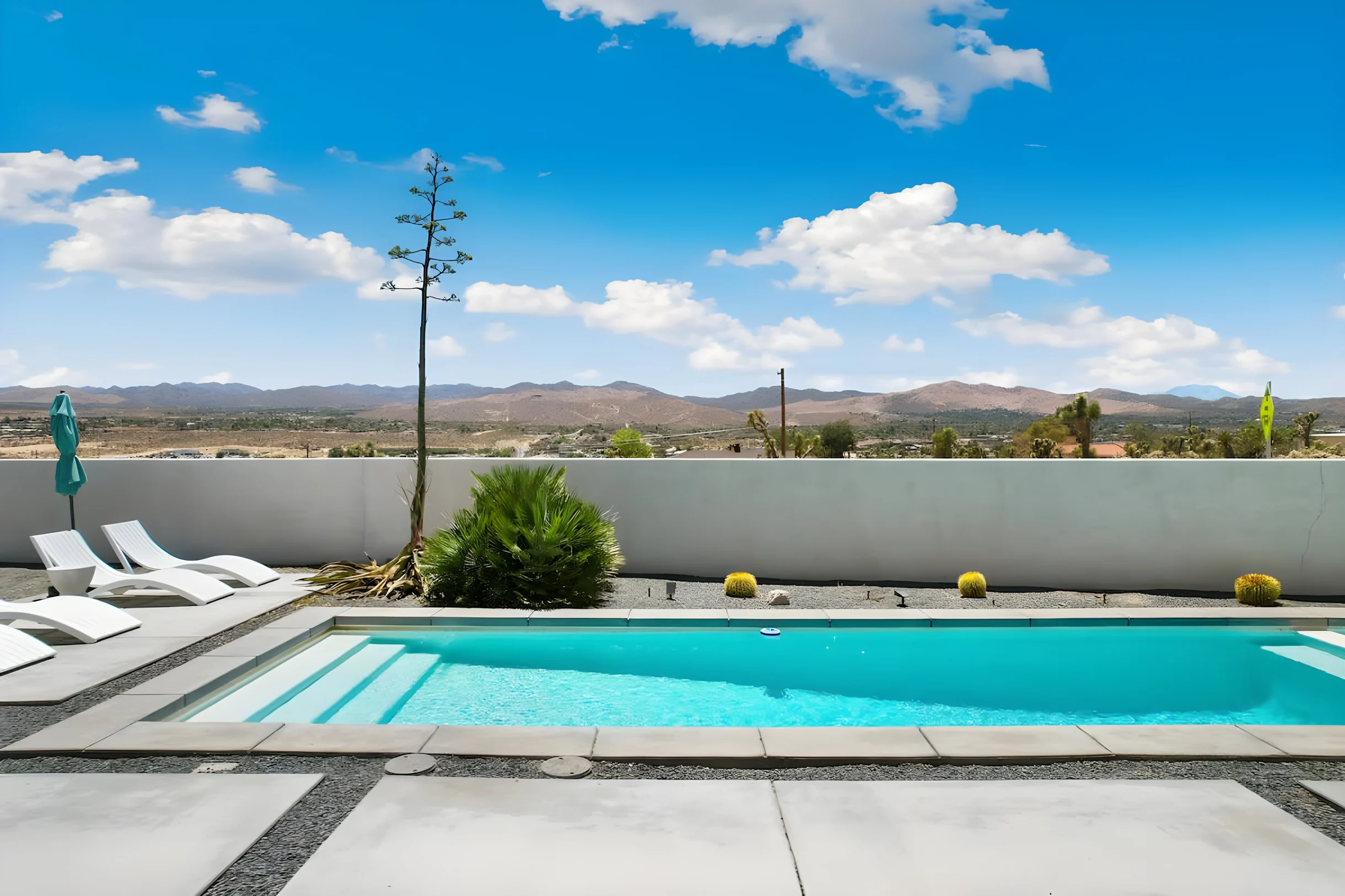 Wander Yucca Valley Arroyo #5