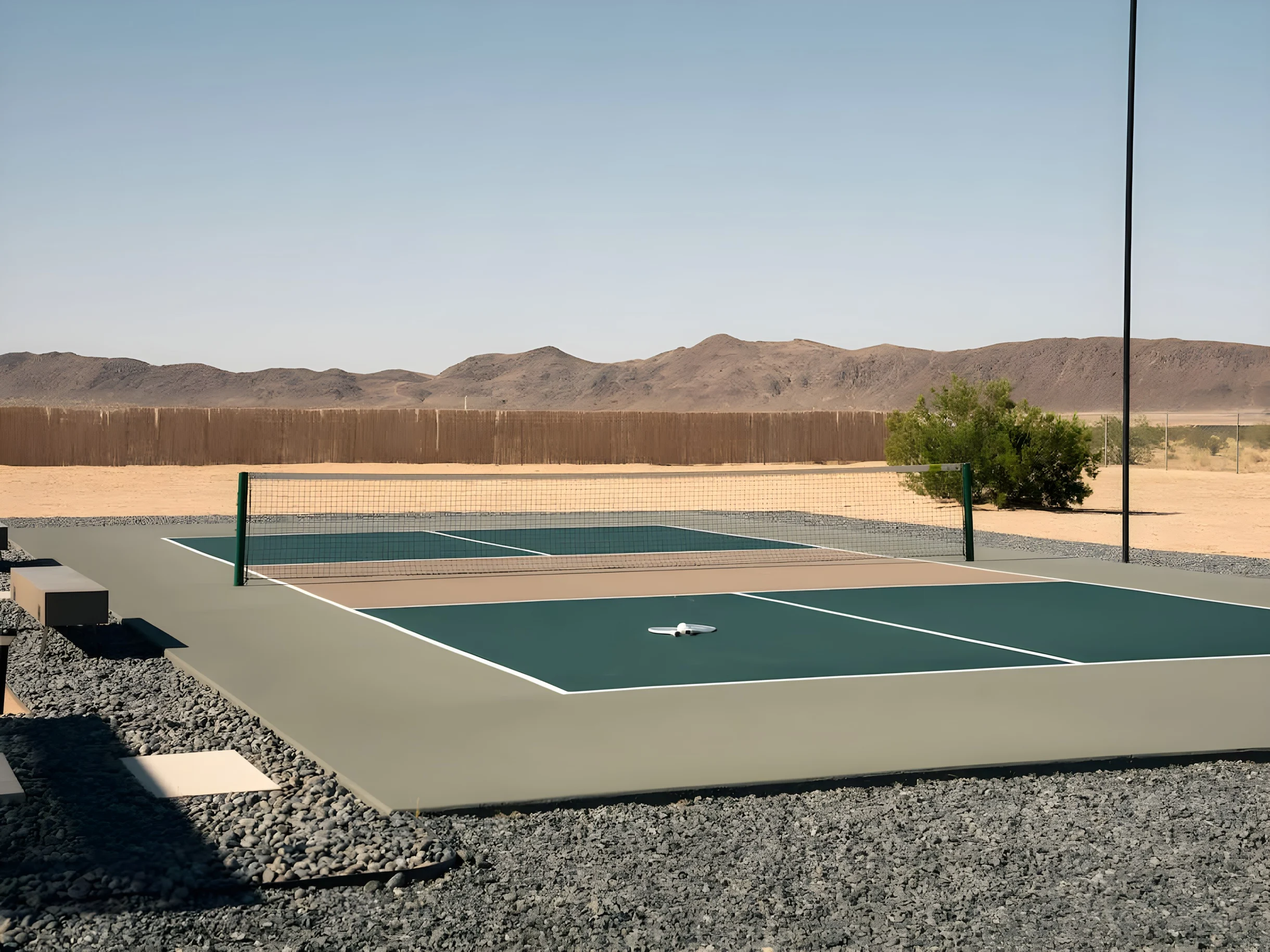 Wander Joshua Tree Arroyos #9