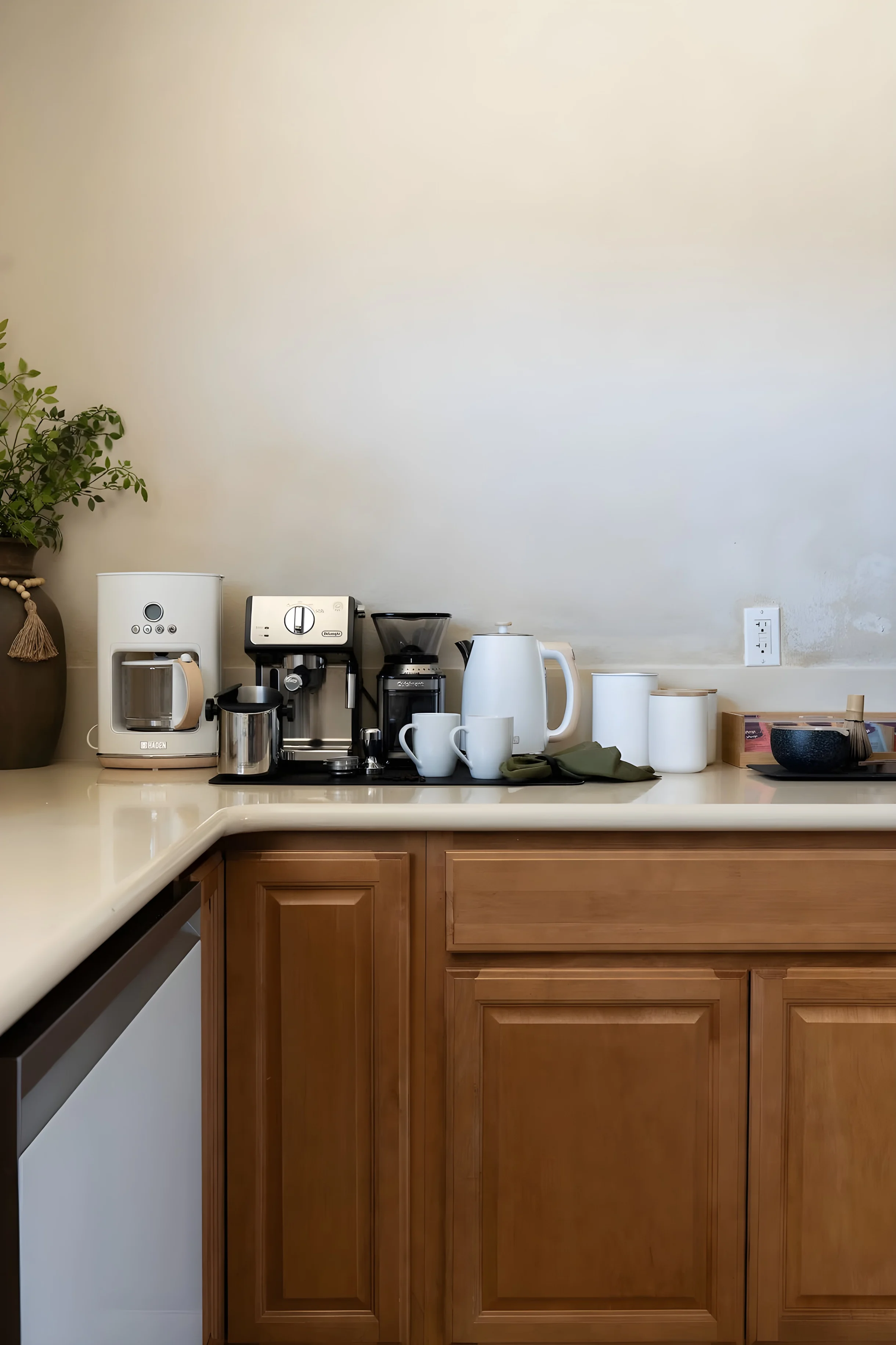 Wander Joshua Tree Arroyos #42