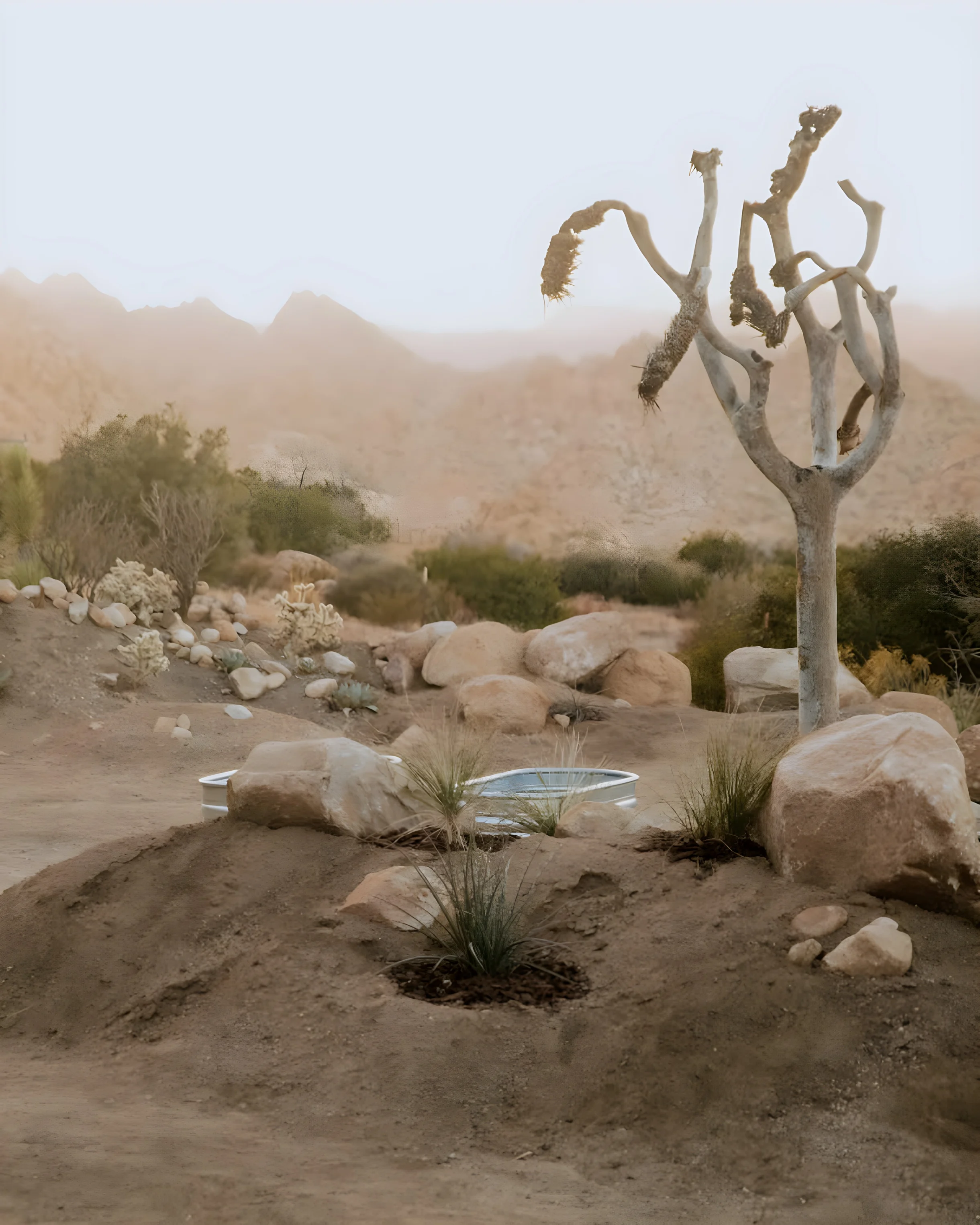 Wander Pioneertown Vista #14