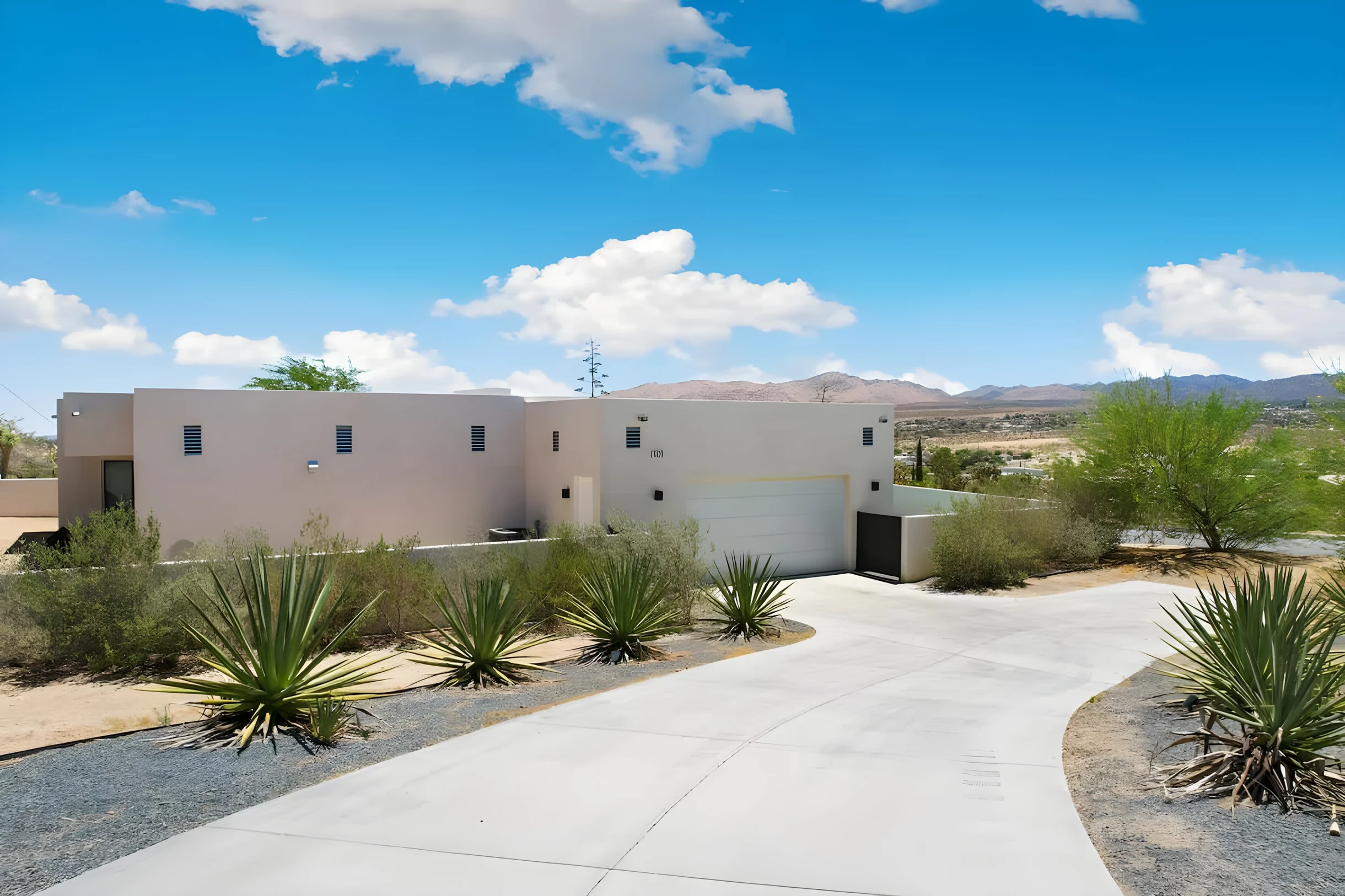 Wander Yucca Valley Arroyo #36