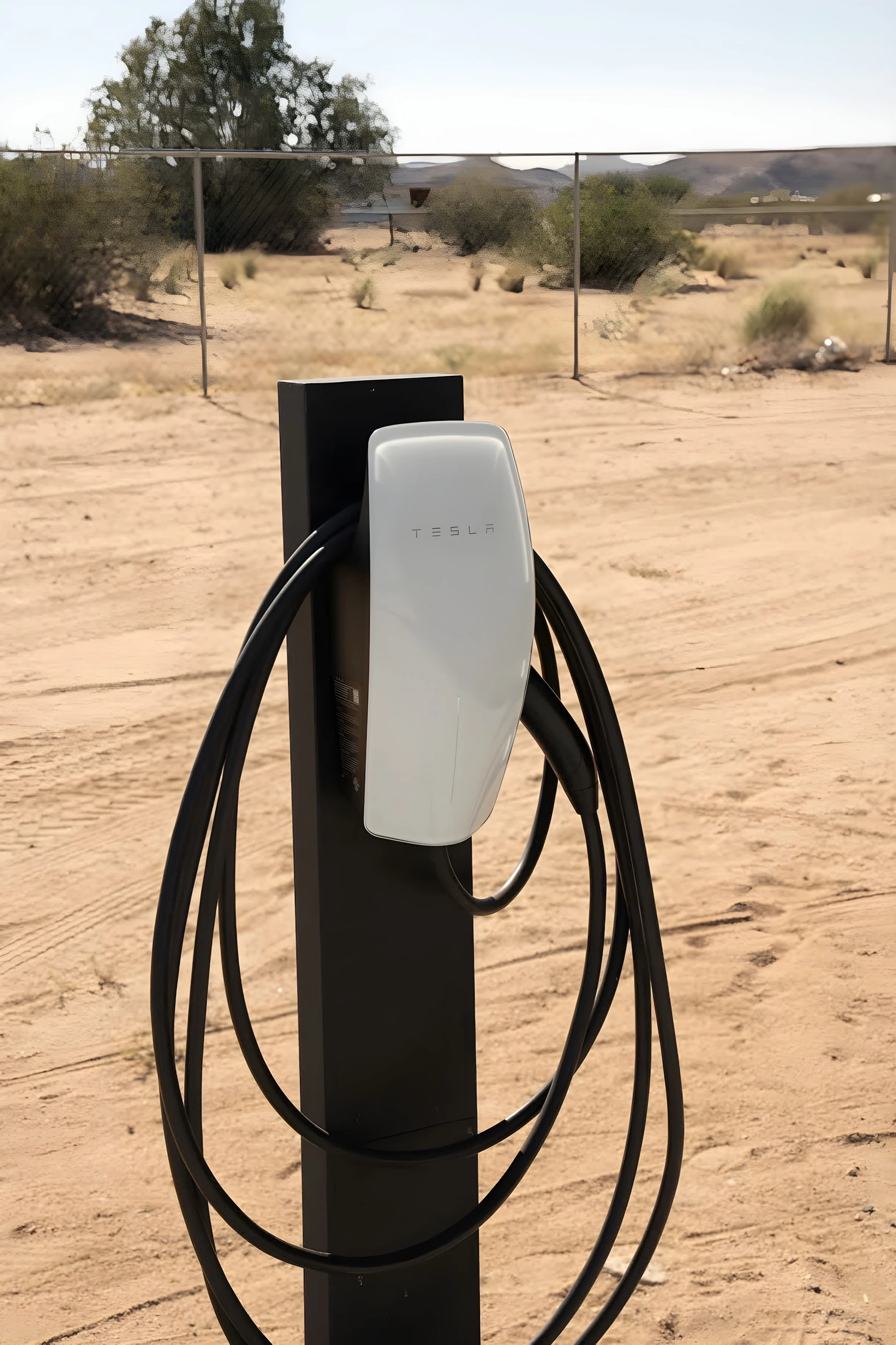 Wander Joshua Tree Arroyos #46