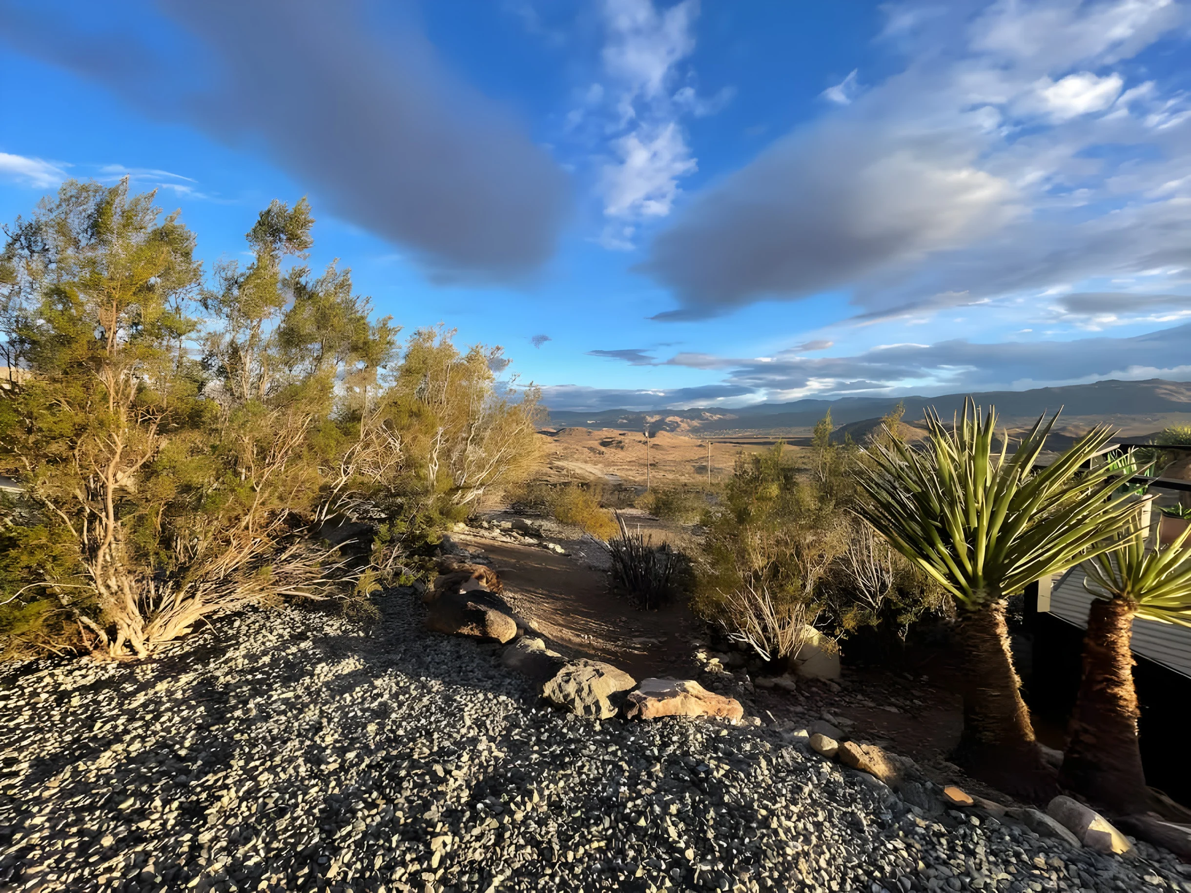 Wander Yucca Valley Vistas #18