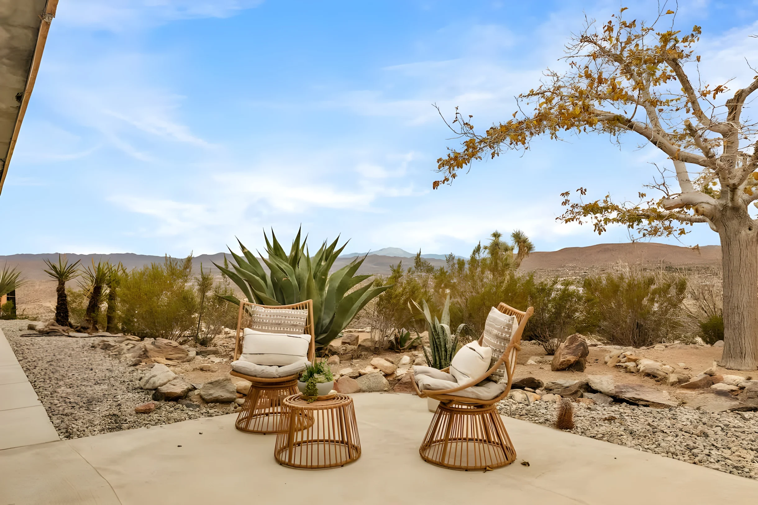 Wander Yucca Valley Vistas #54