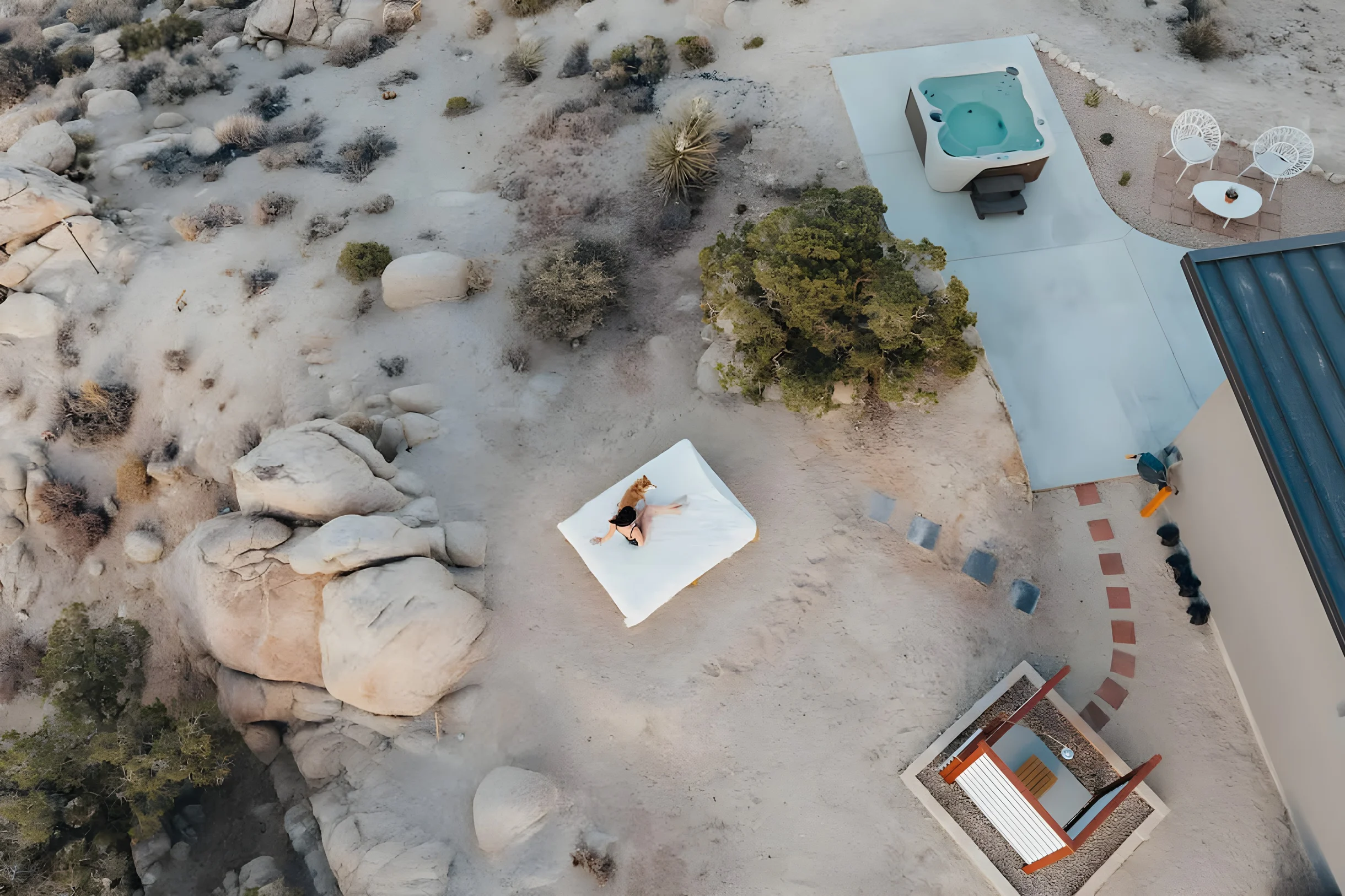 Wander Yucca Valley Celestial #4