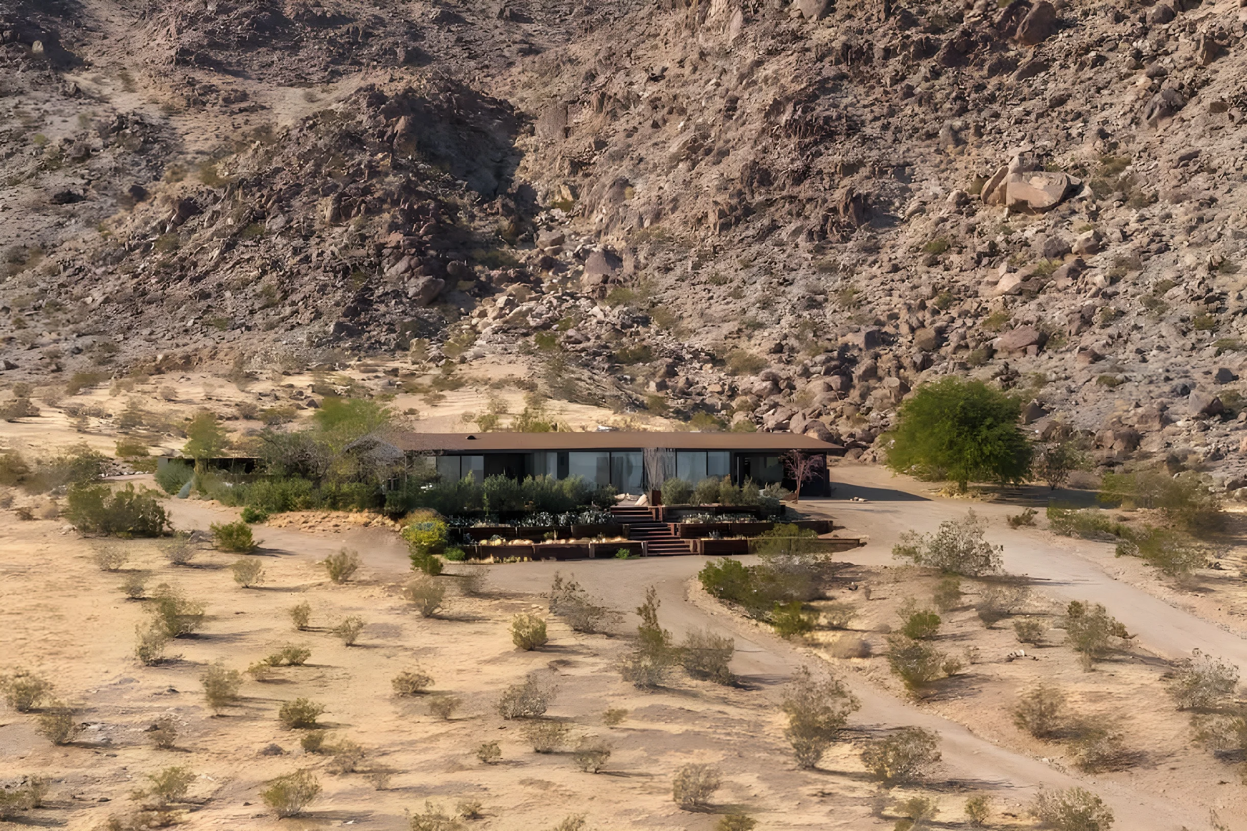 Wander Joshua Tree Ascent #33