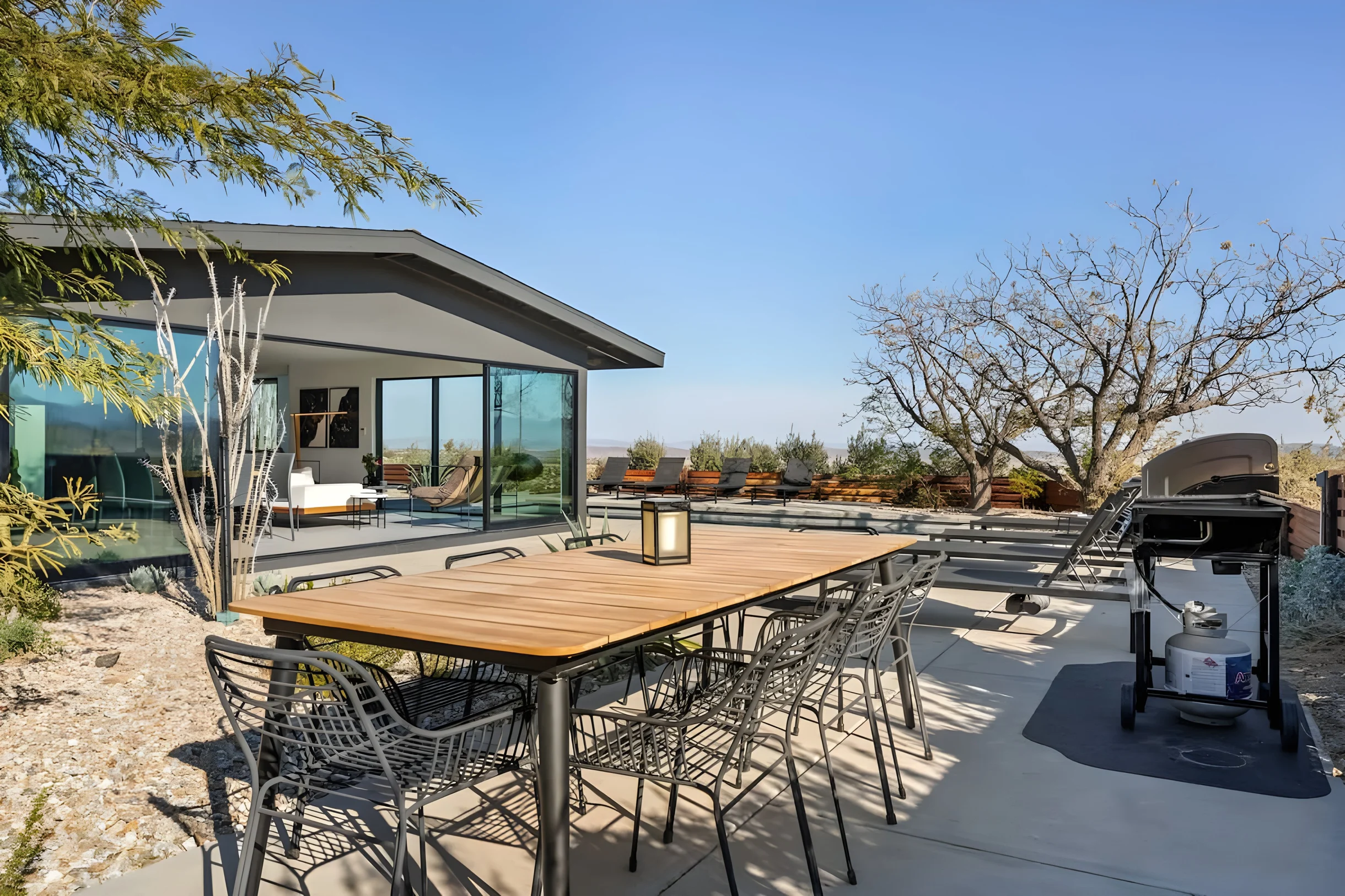 Wander Joshua Tree Ascent #43