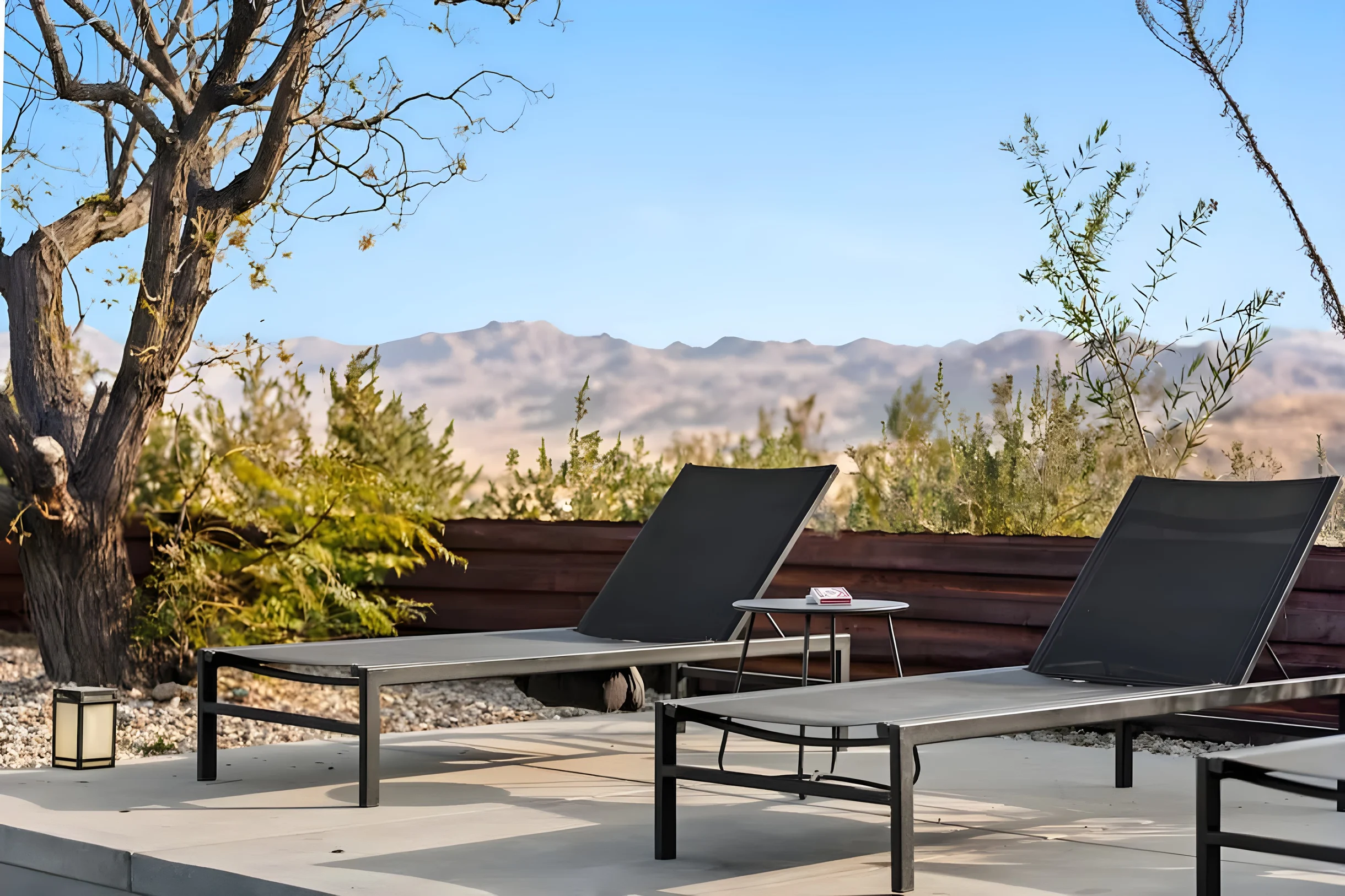 Wander Joshua Tree Ascent #51