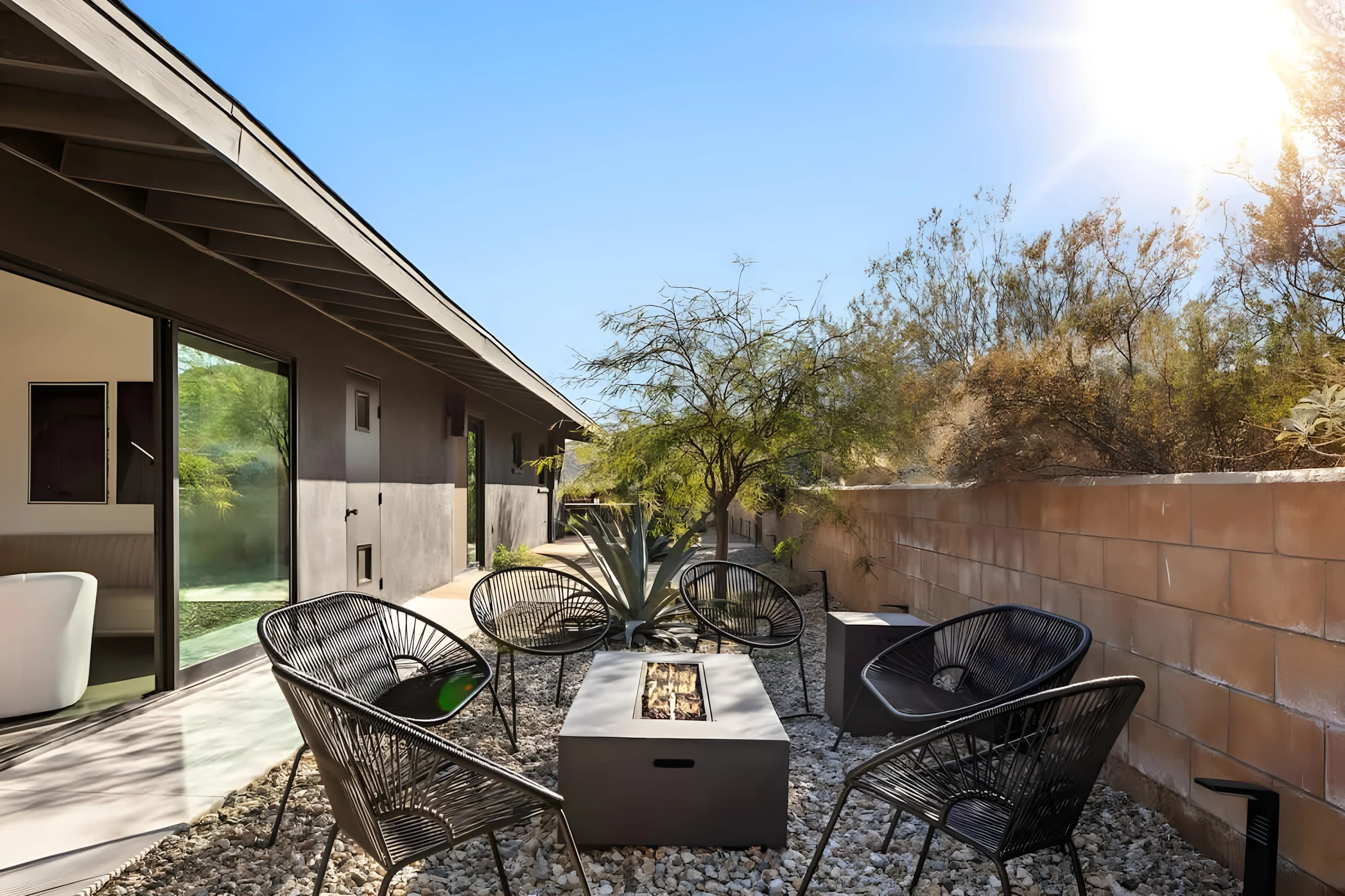 Wander Joshua Tree Ascent #34