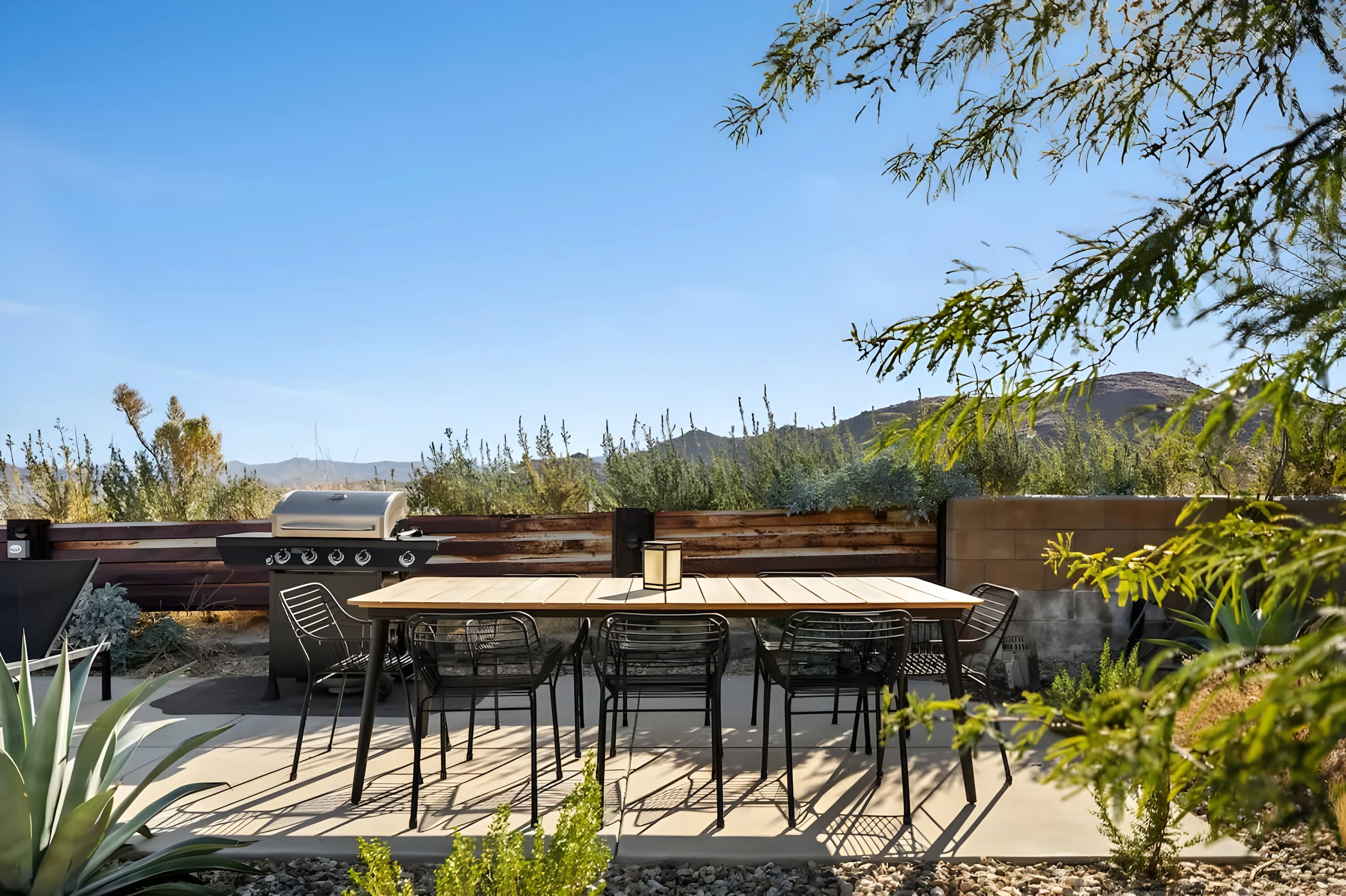 Wander Joshua Tree Ascent #48