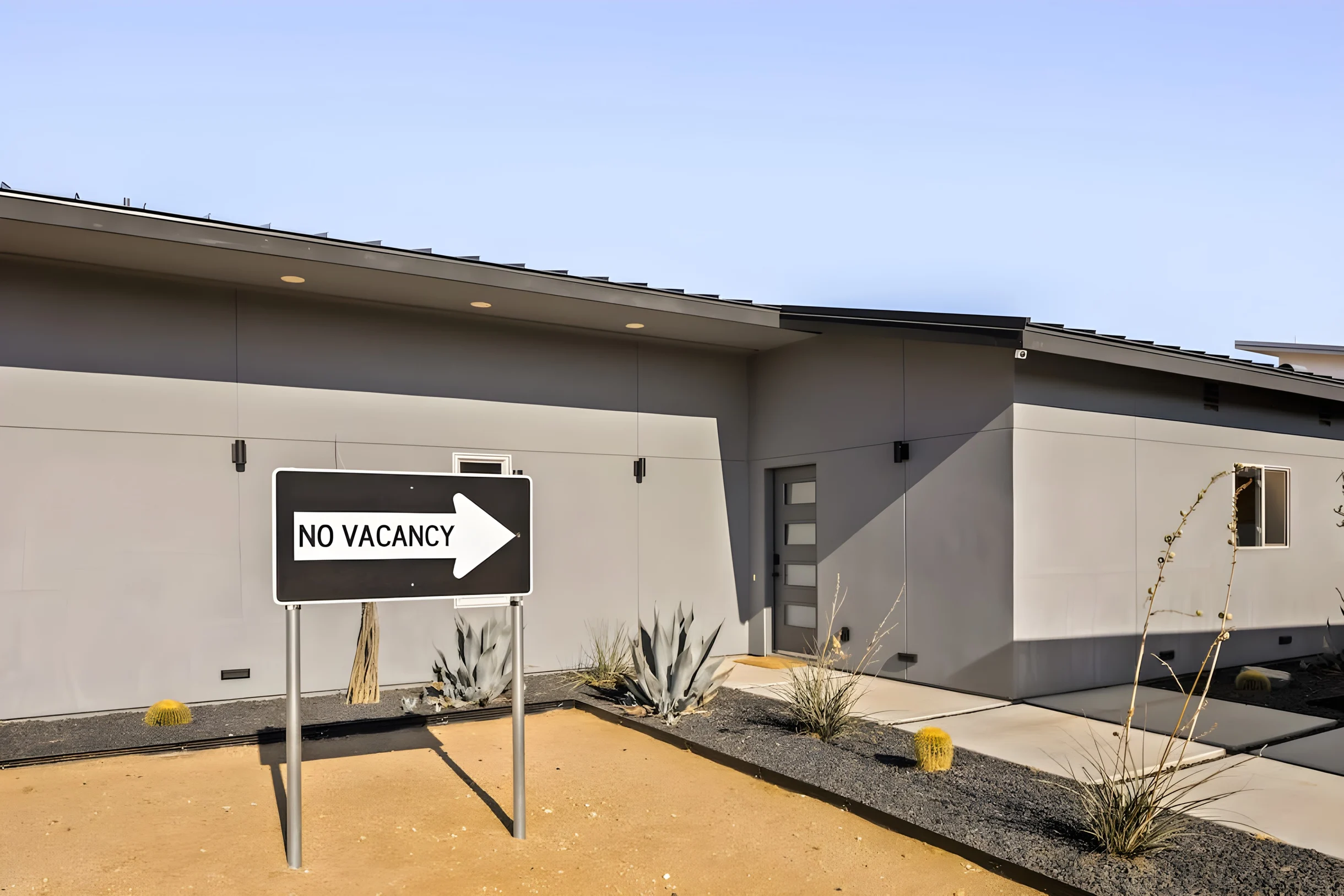 Wander Joshua Tree Scramble #20