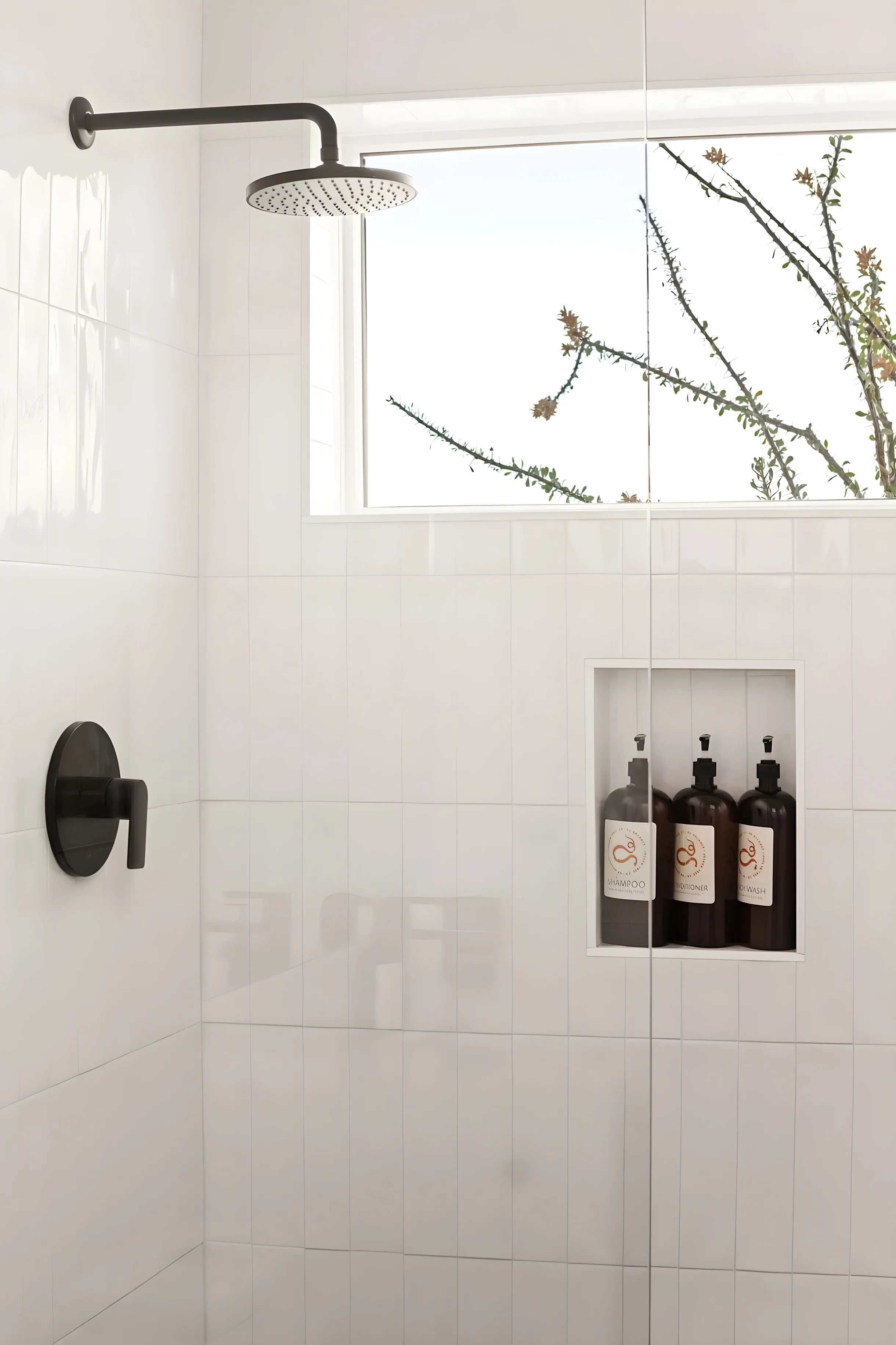 Wander Joshua Tree Scramble #37