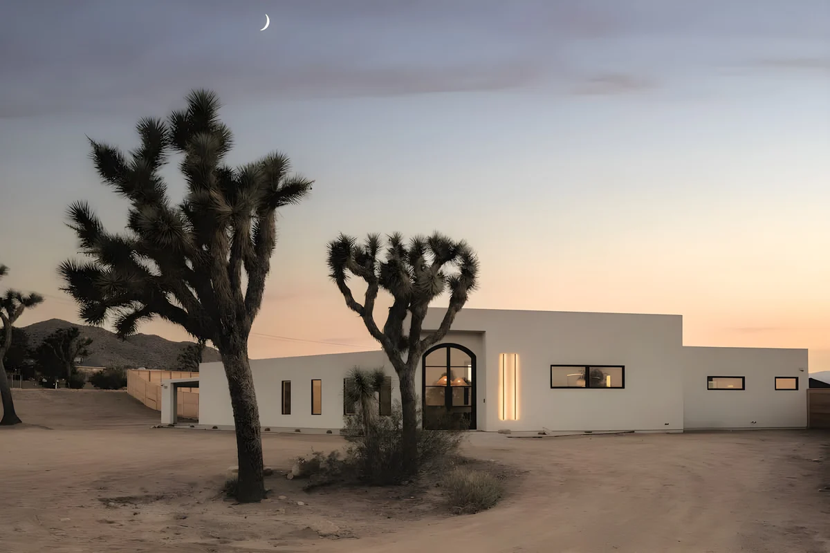 Wander Joshua Tree Glow