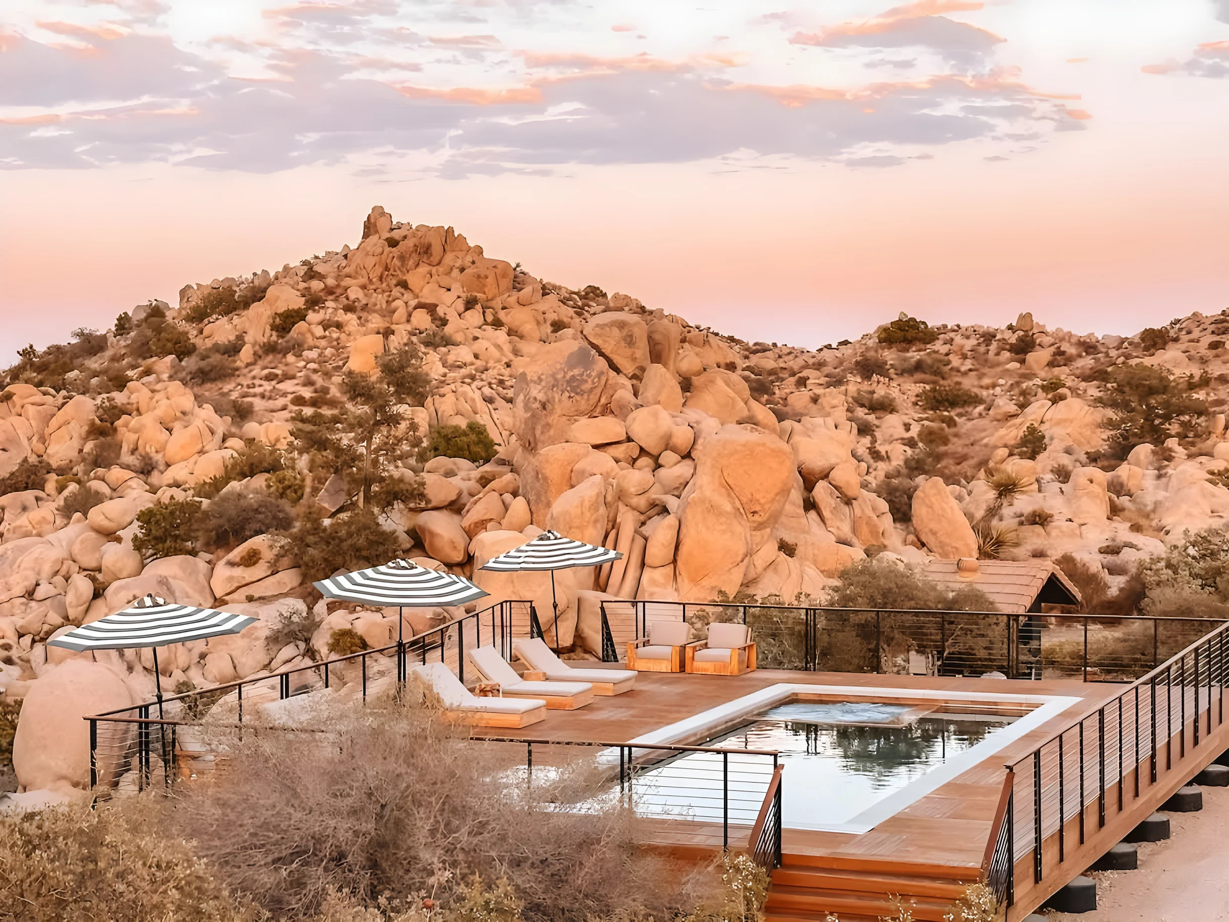 Wander Joshua Tree Creosote #54