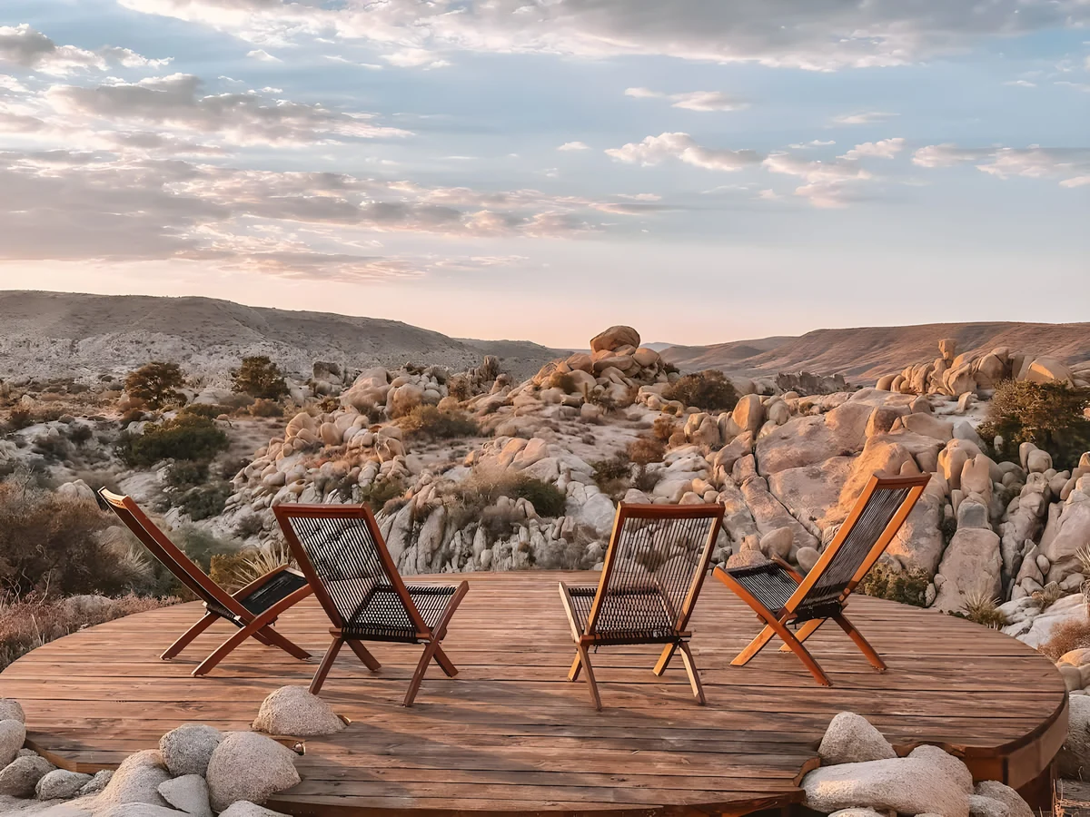 Wander Joshua Tree Creosote