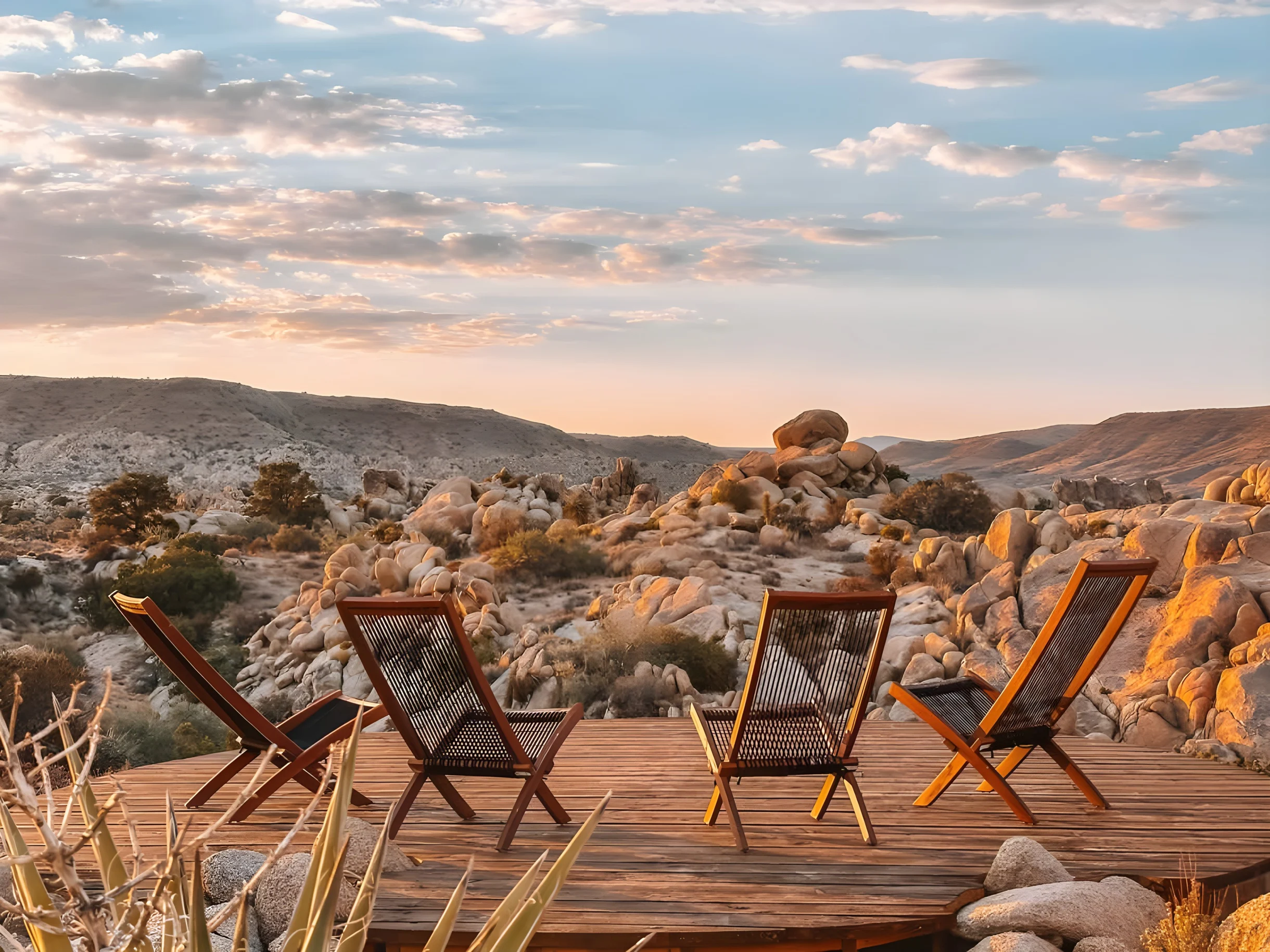Wander Joshua Tree Creosote #57