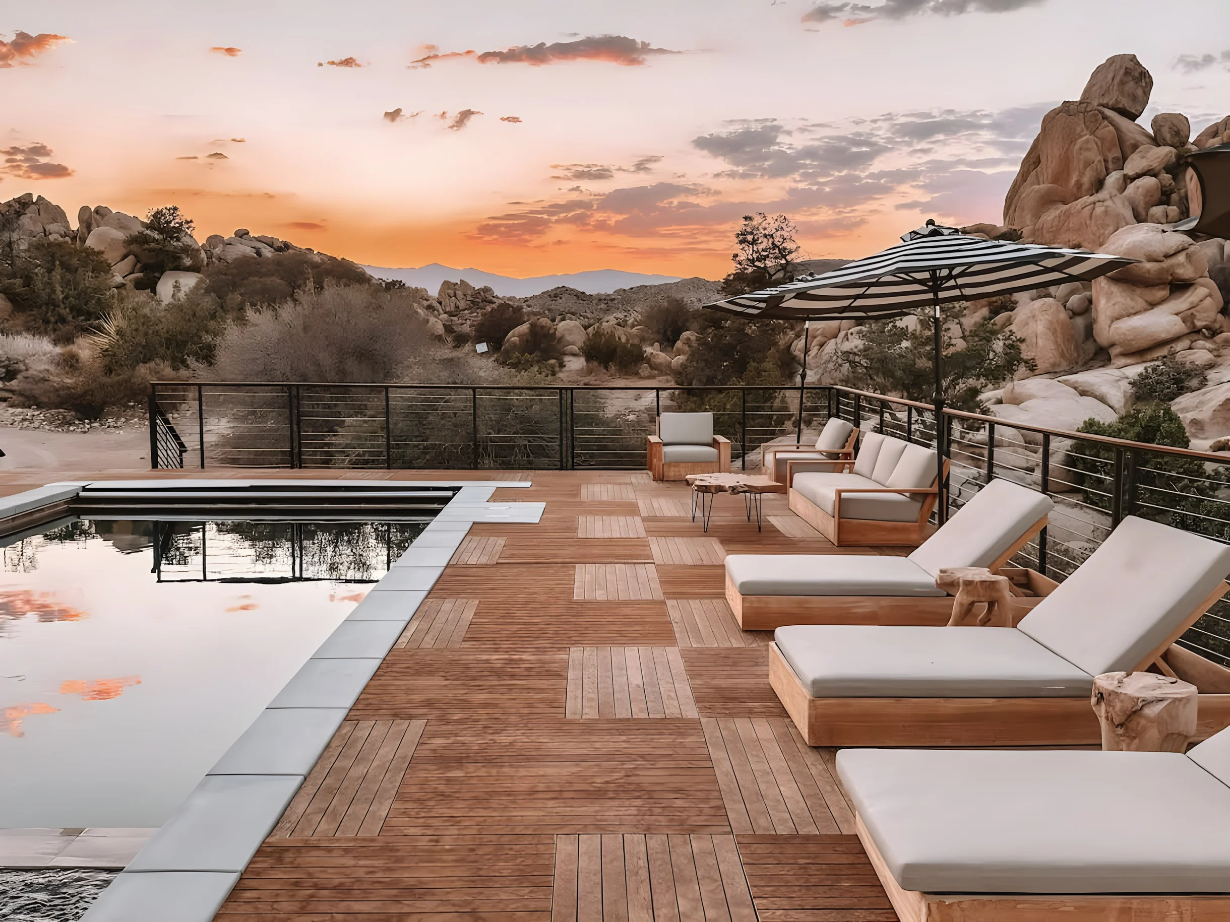 Wander Joshua Tree Creosote #68