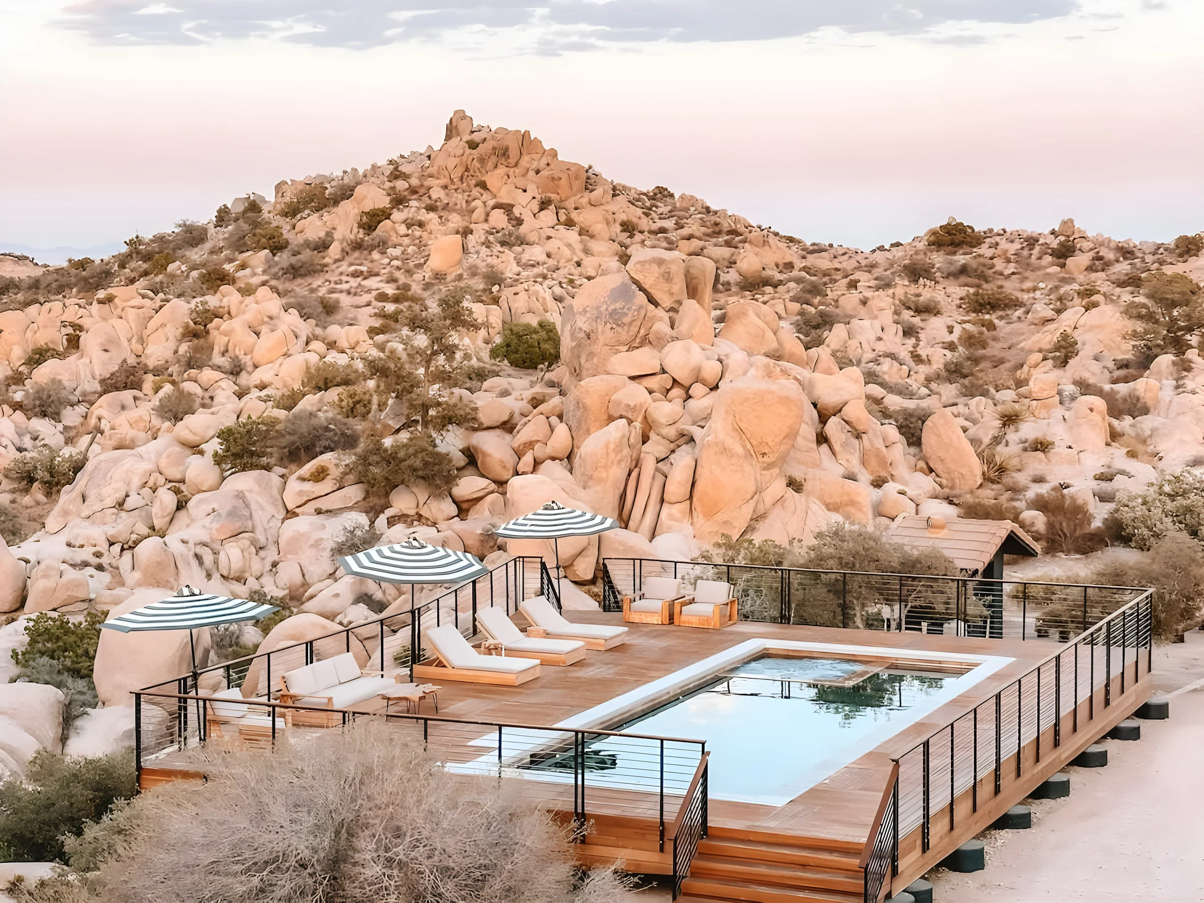 Wander Joshua Tree Creosote #62