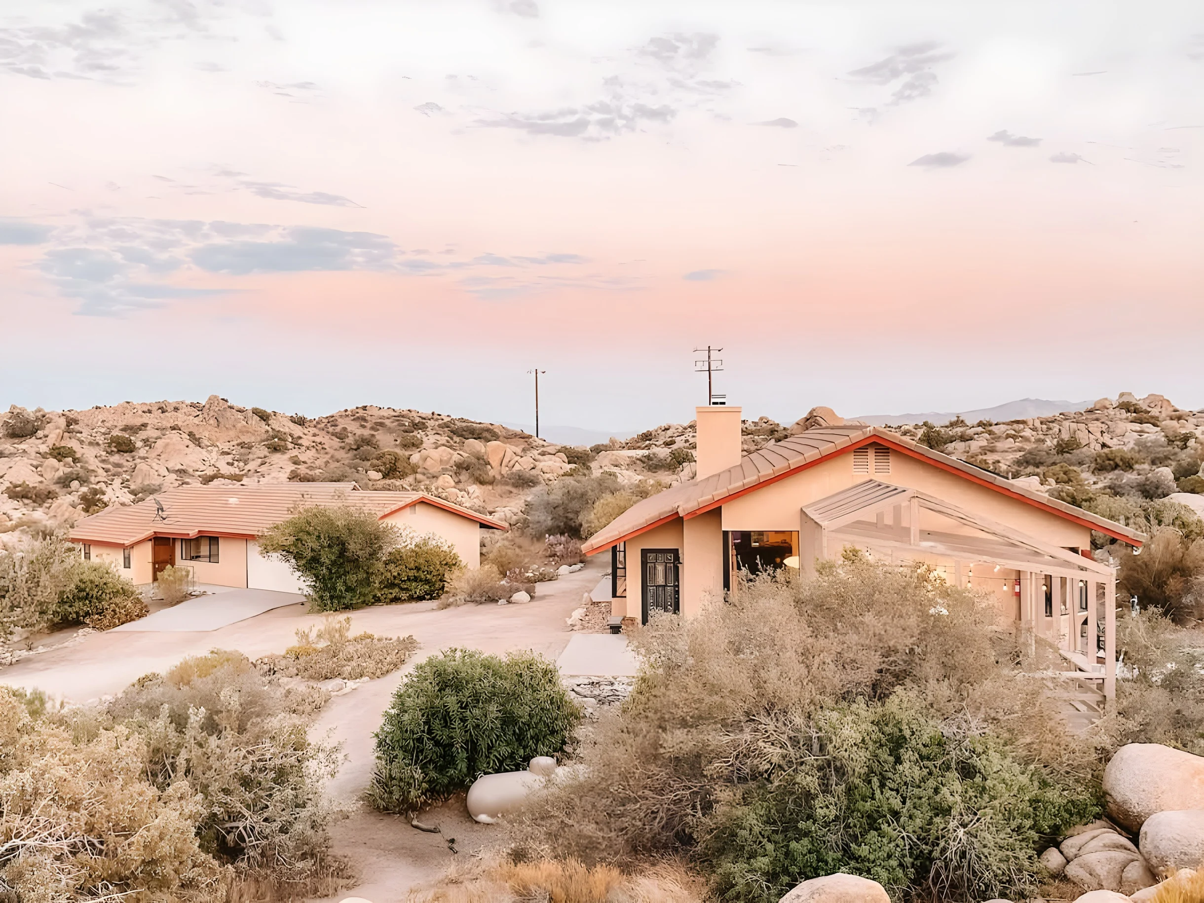 Wander Joshua Tree Creosote #47