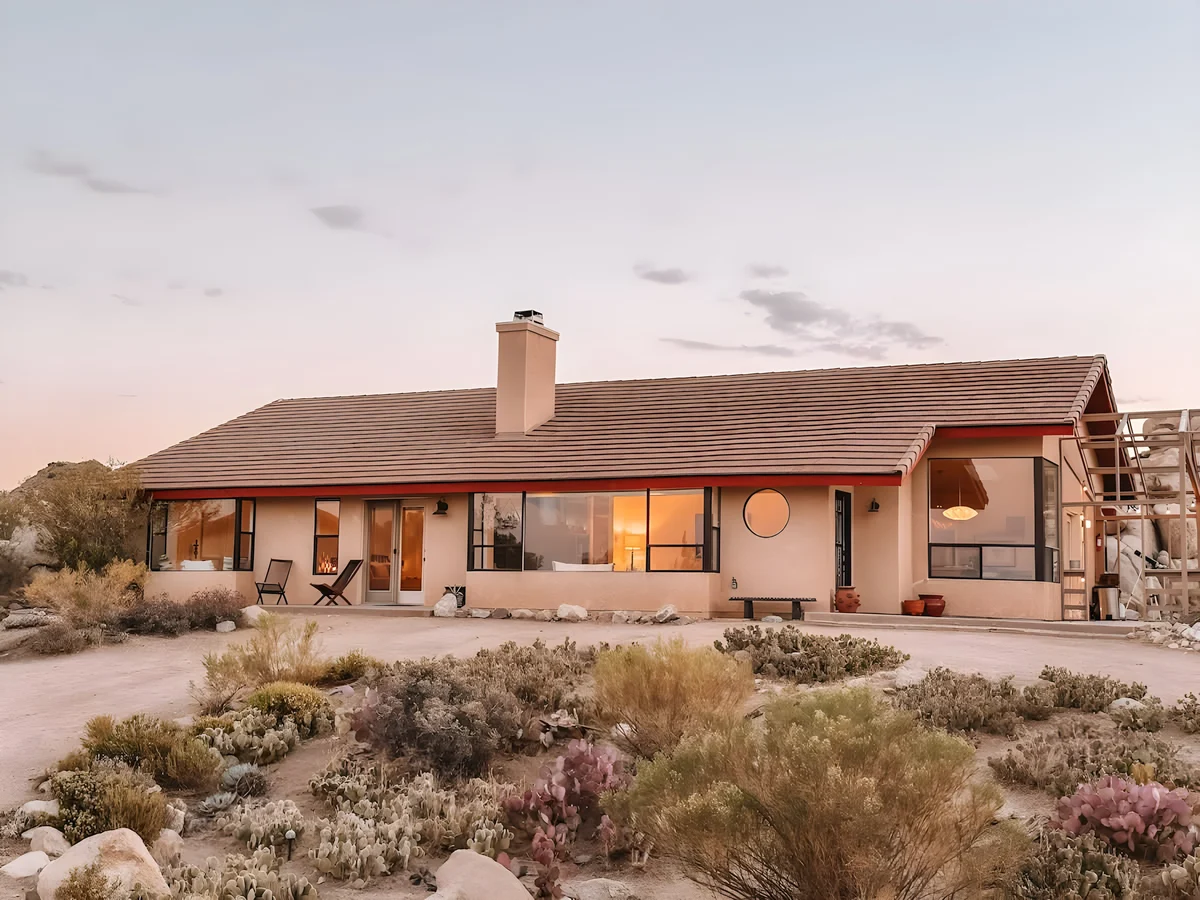 Wander Joshua Tree Creosote