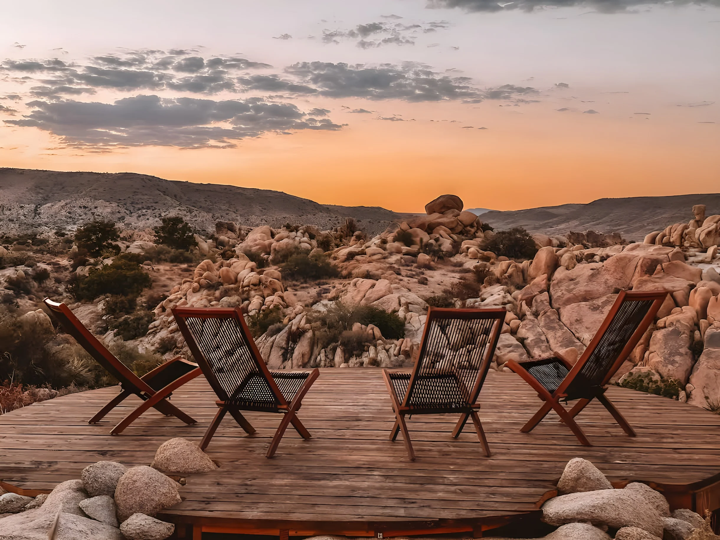 Wander Joshua Tree Creosote #52