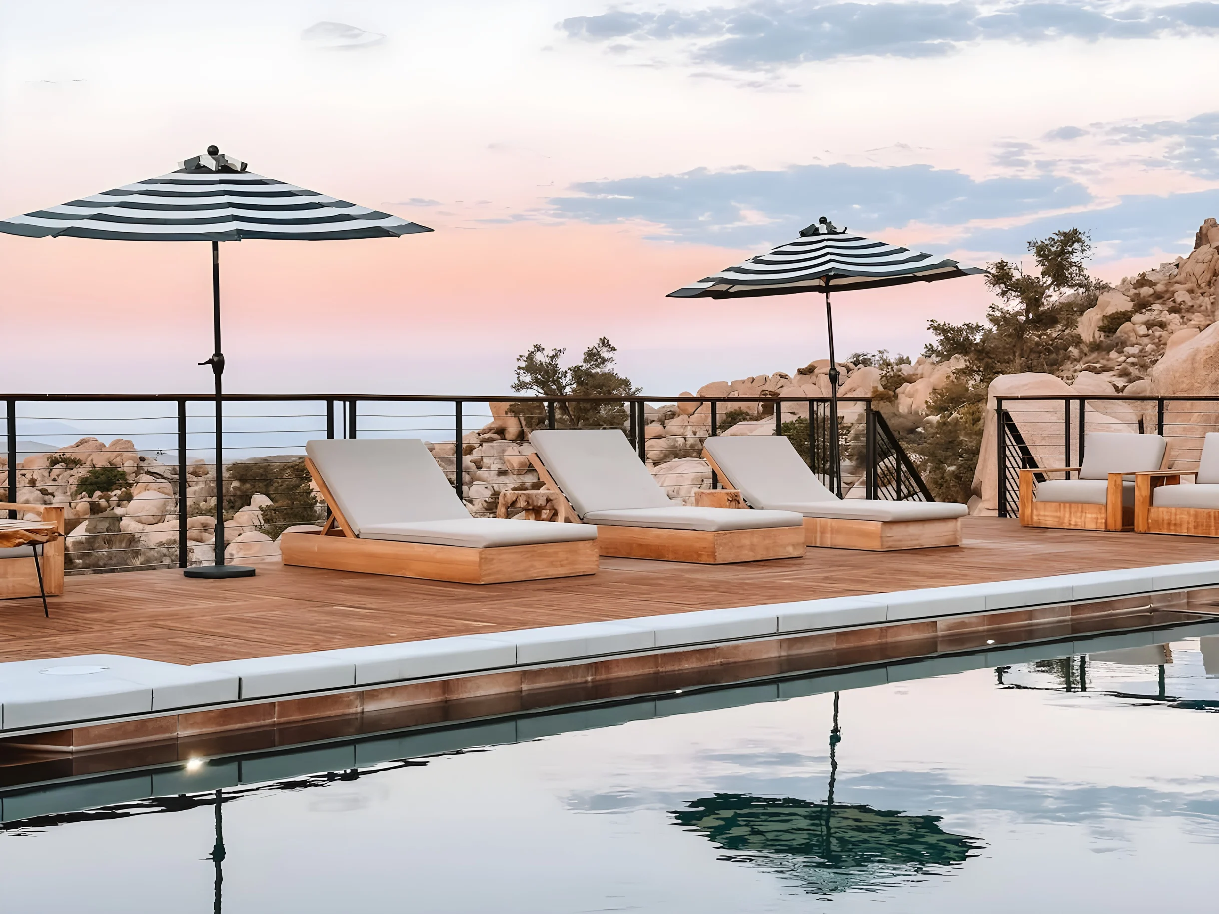 Wander Joshua Tree Creosote #49