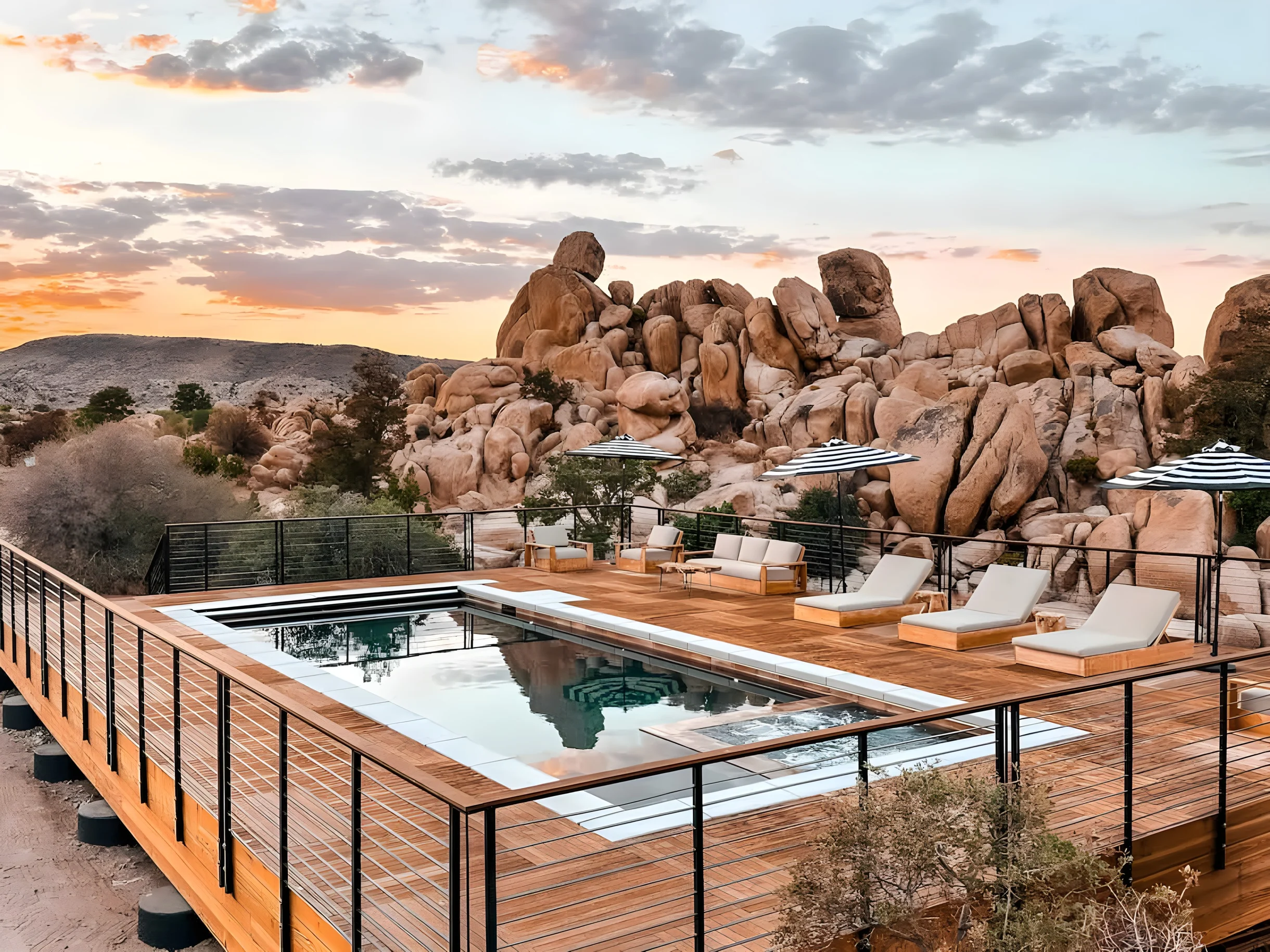 Wander Joshua Tree Creosote #4