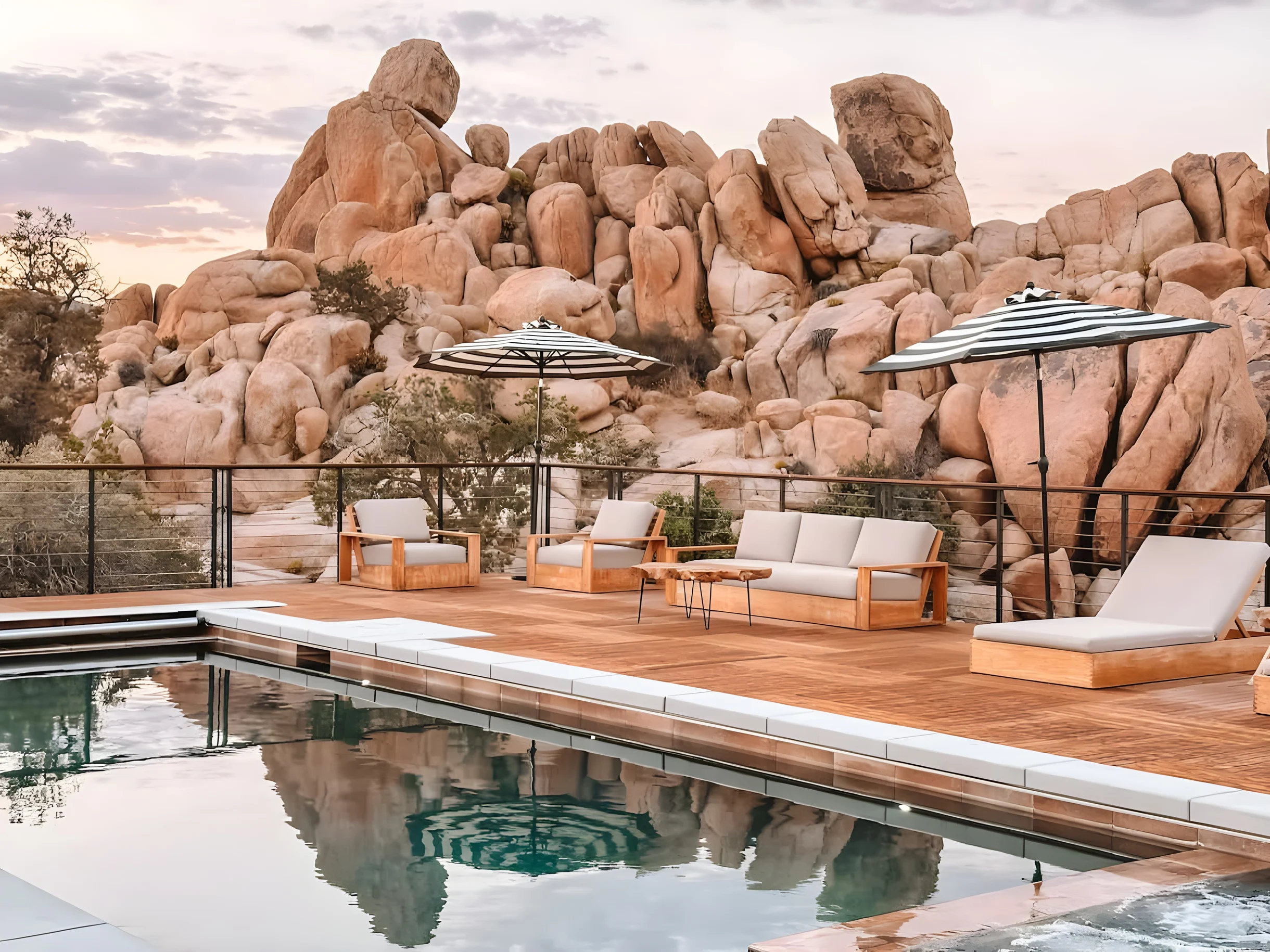 Wander Joshua Tree Creosote #6