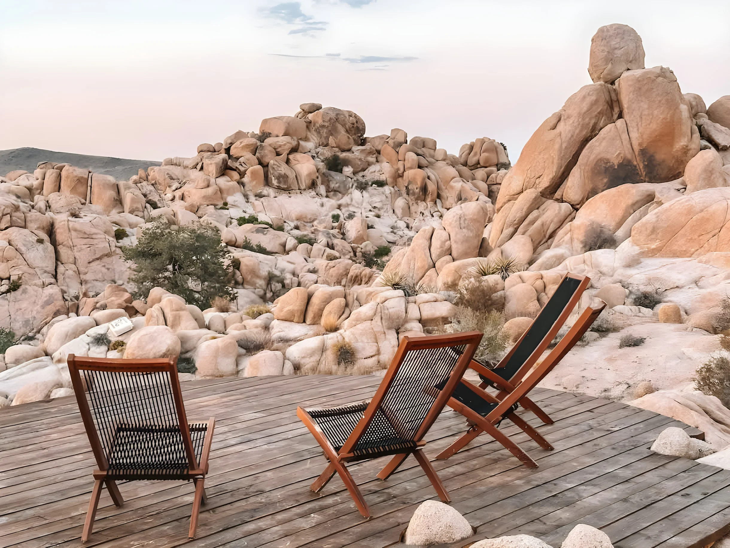 Wander Joshua Tree Creosote #63