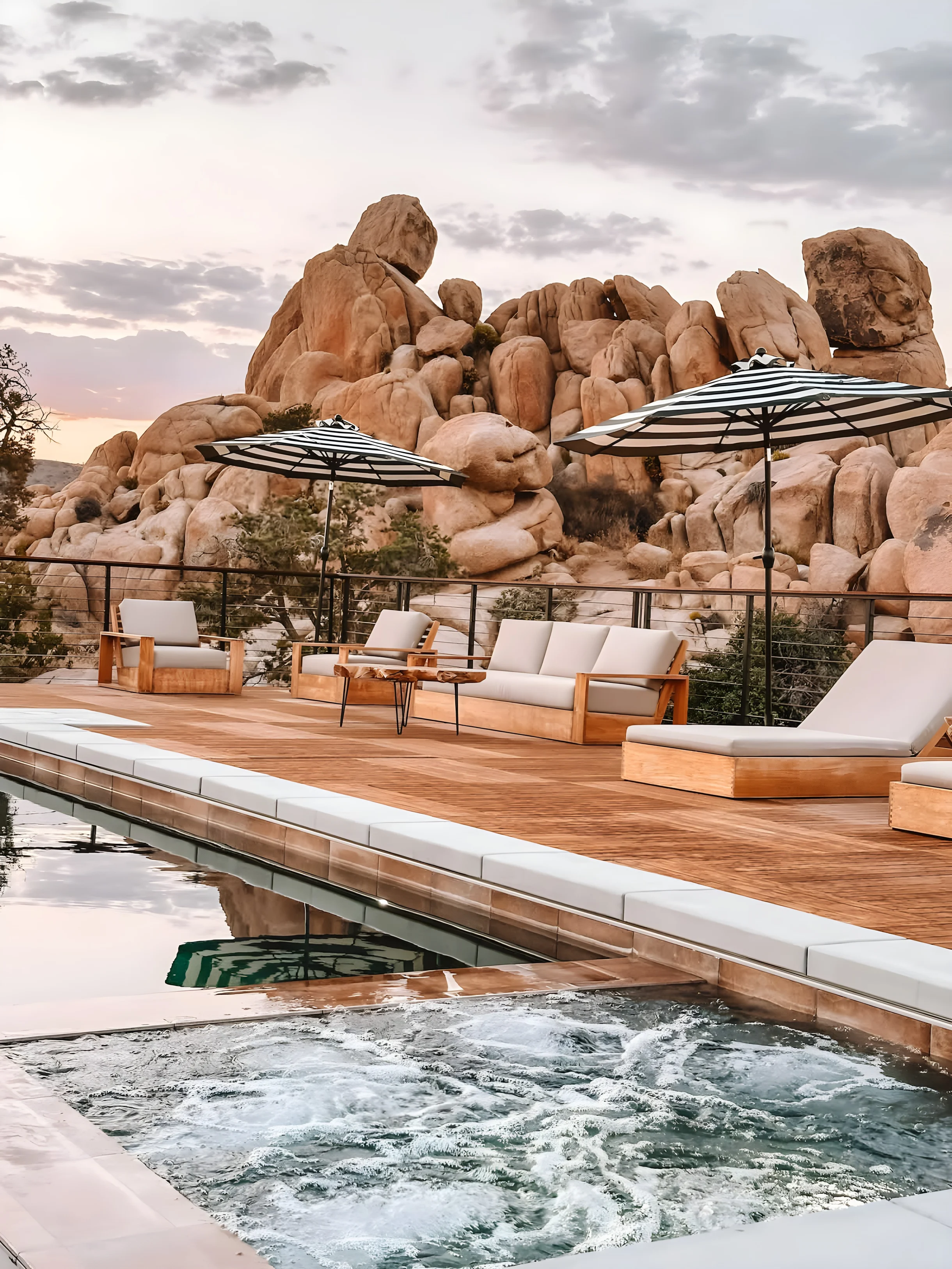 Wander Joshua Tree Creosote #65