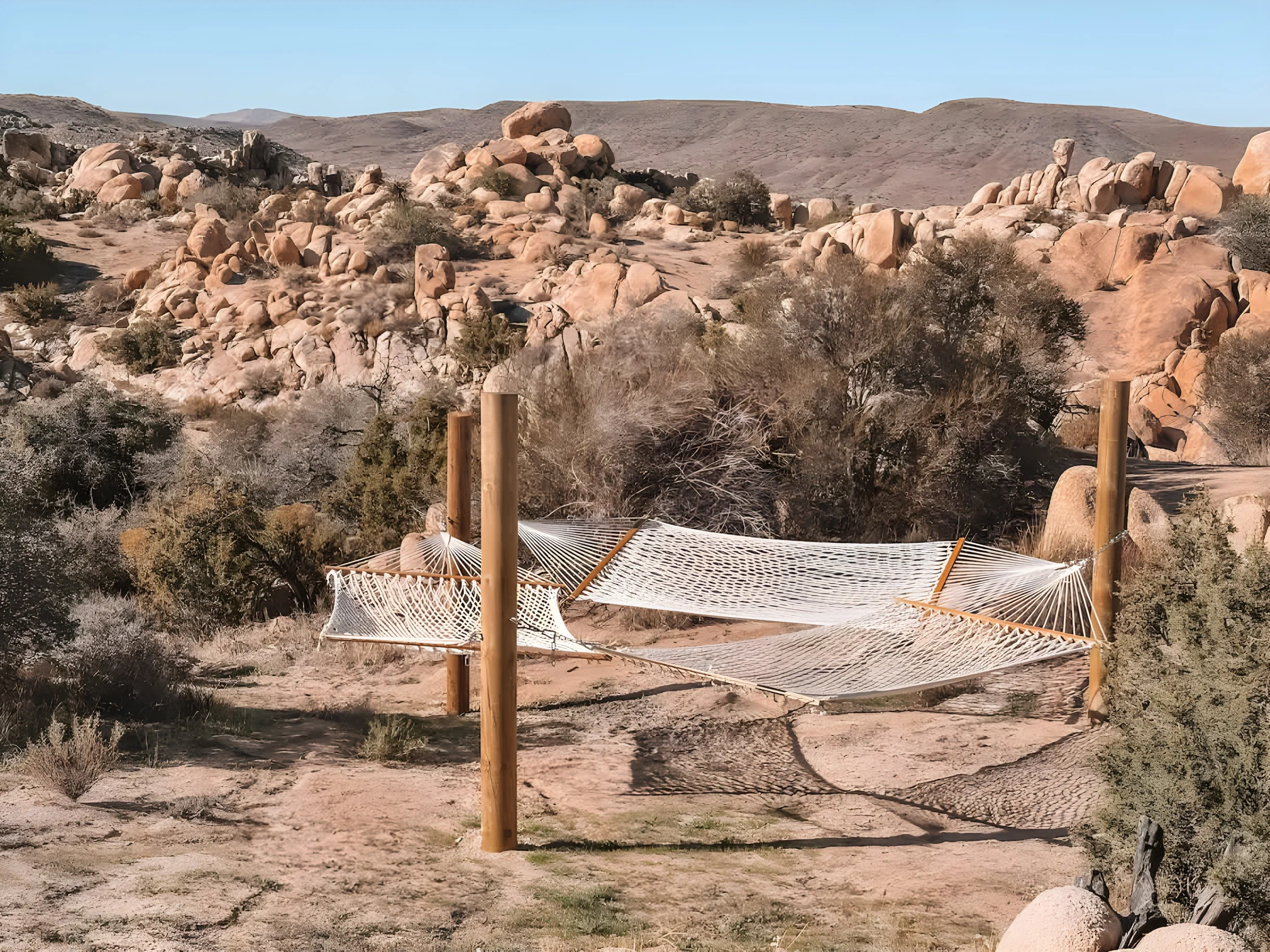 Wander Joshua Tree Creosote #67