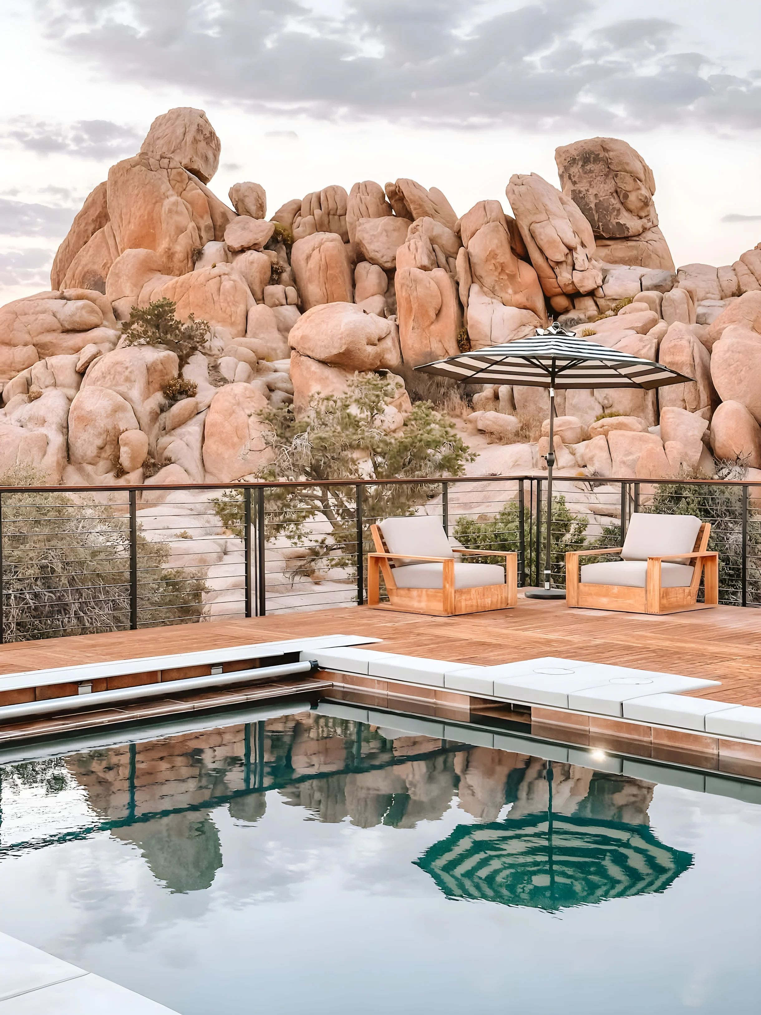 Wander Joshua Tree Creosote #42