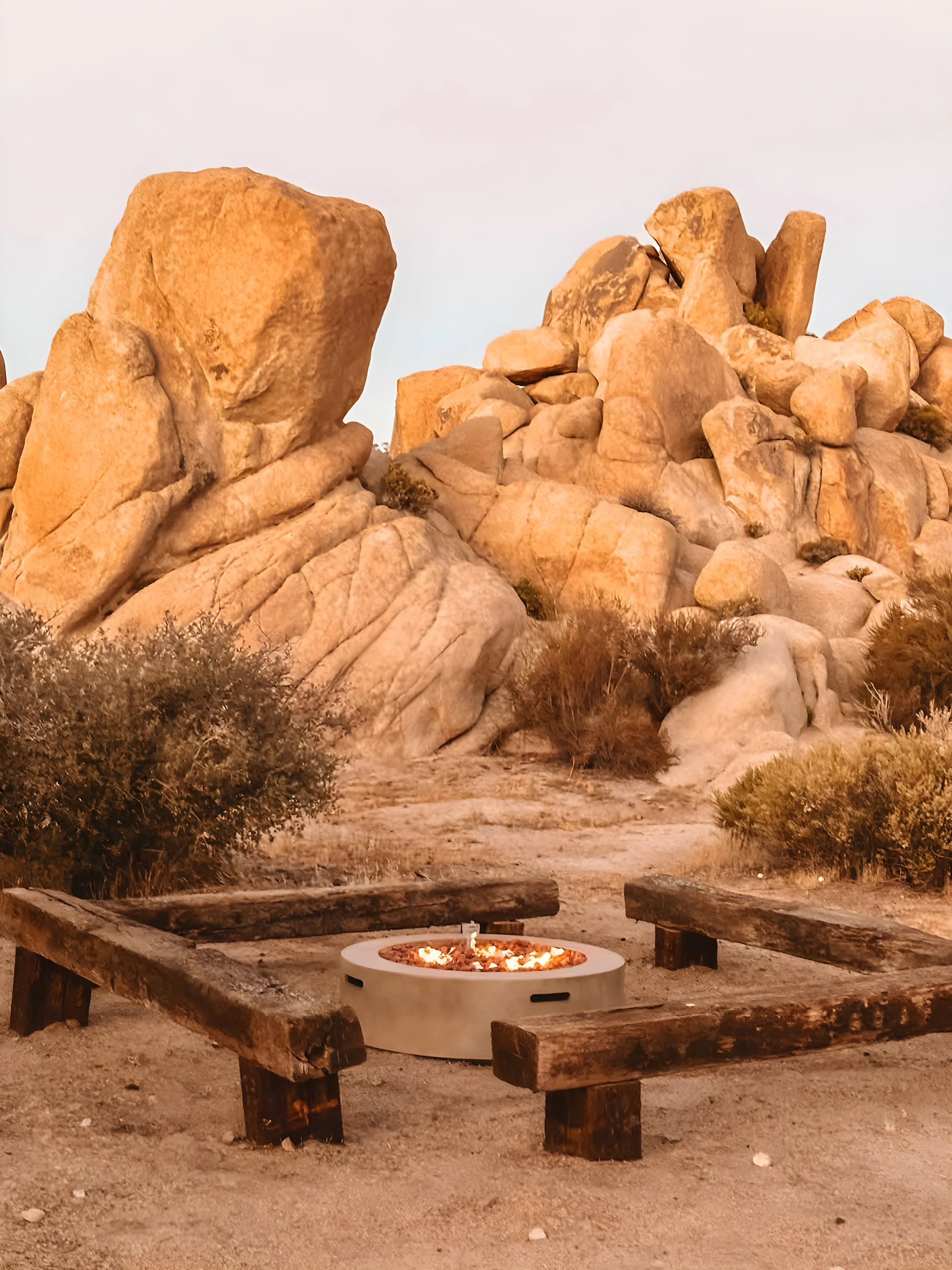 Wander Joshua Tree Creosote #35