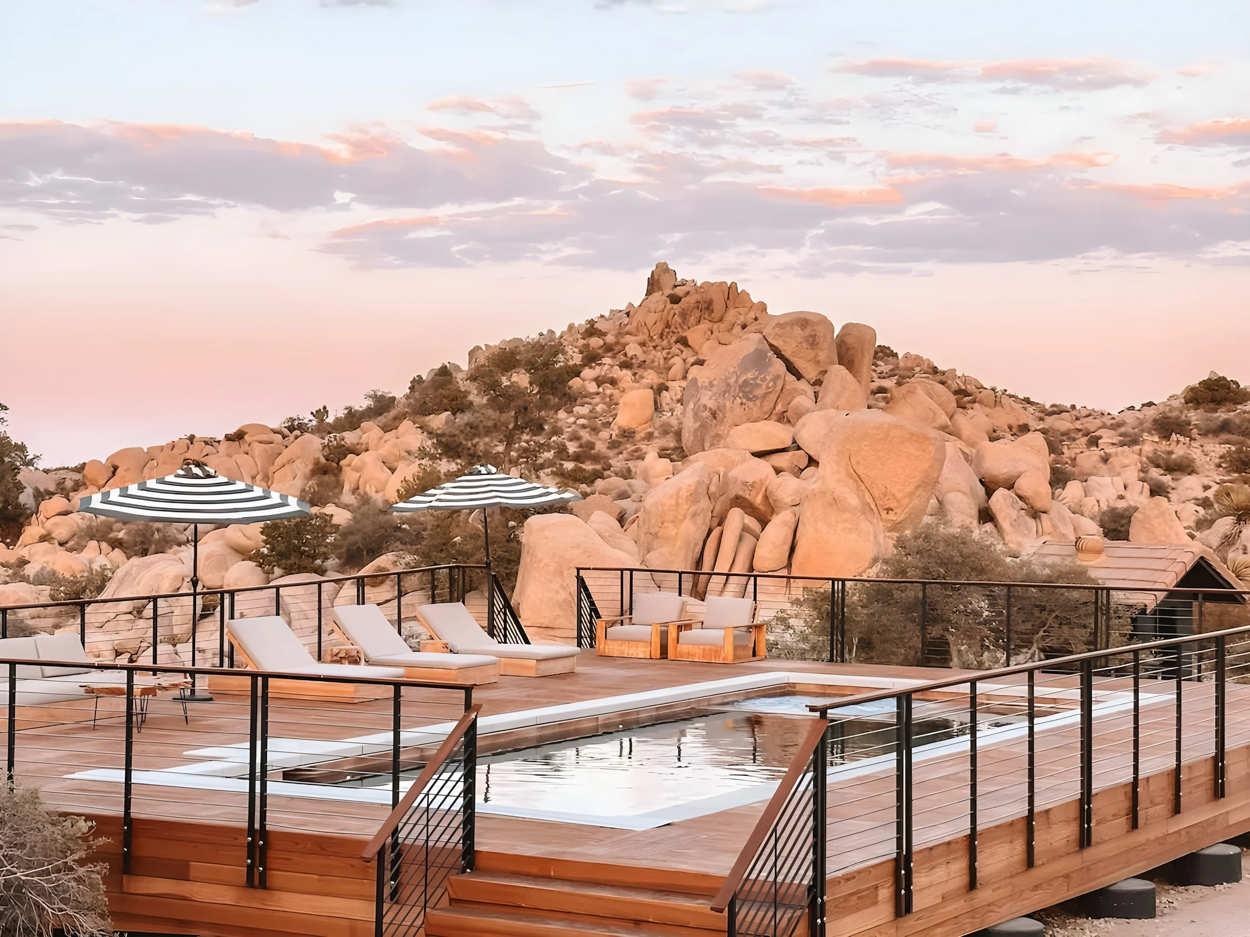 Wander Joshua Tree Creosote #58