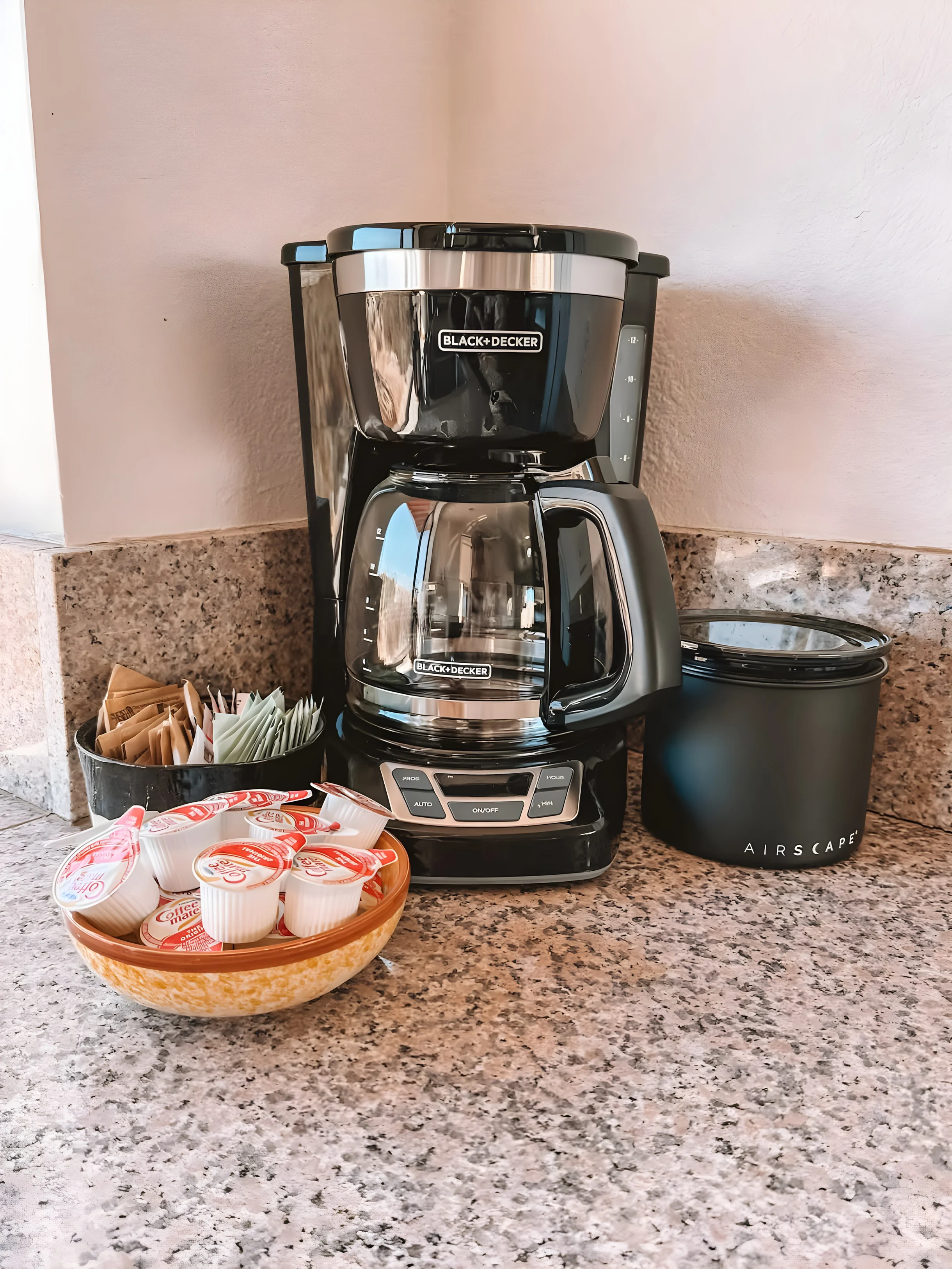 Wander Joshua Tree Creosote #69