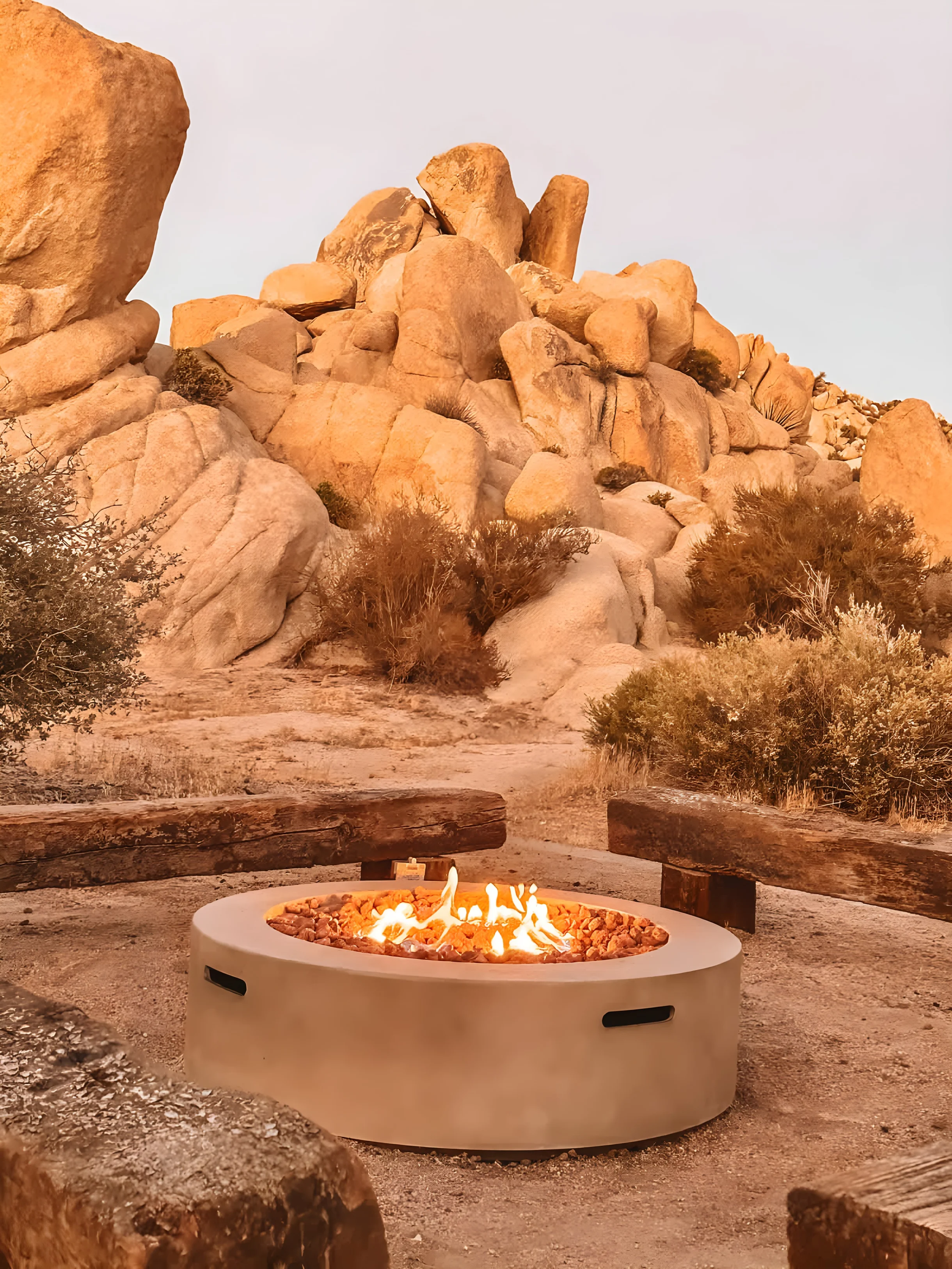 Wander Joshua Tree Creosote #26