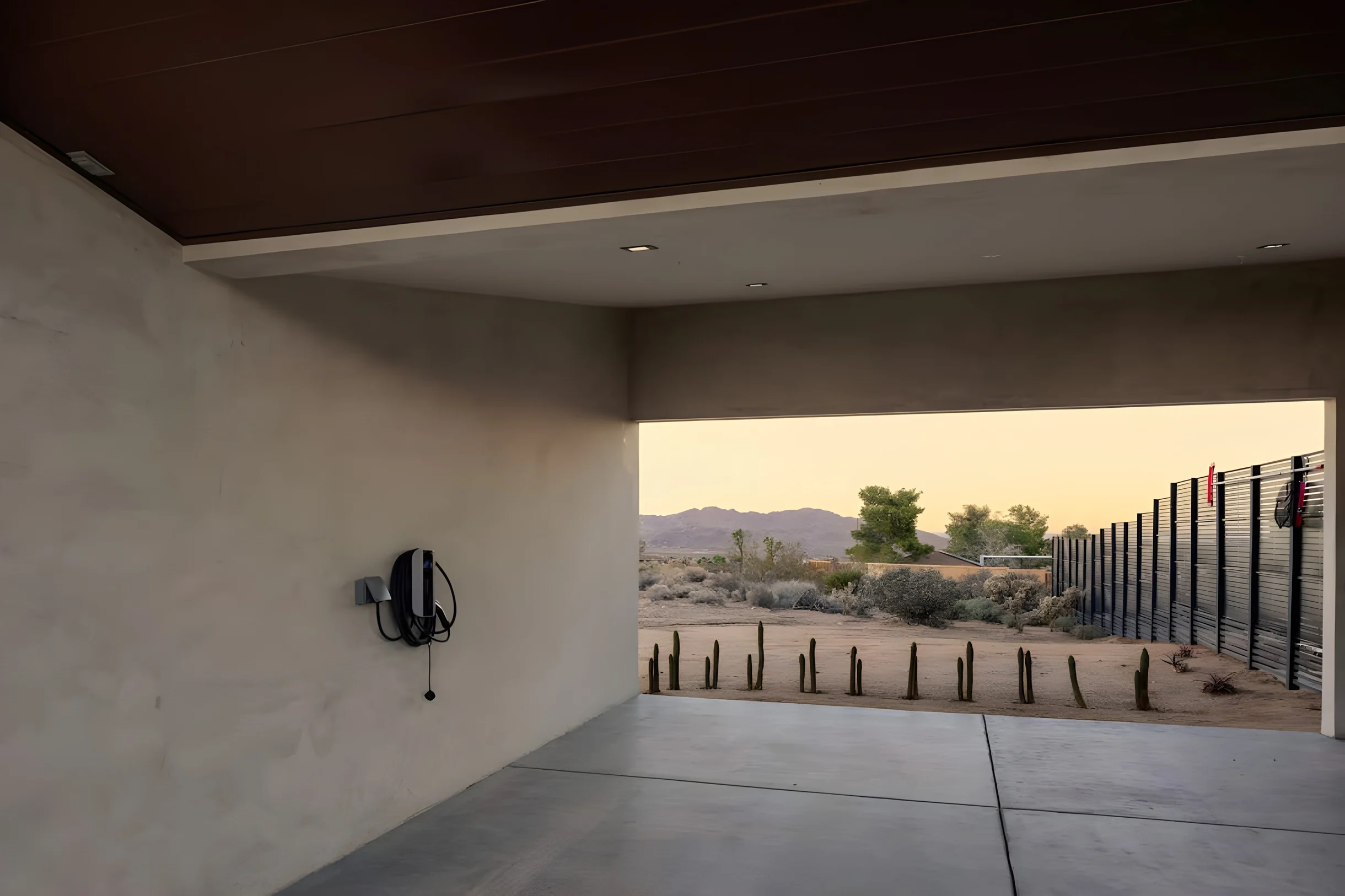 Wander Joshua Tree Lucent #12