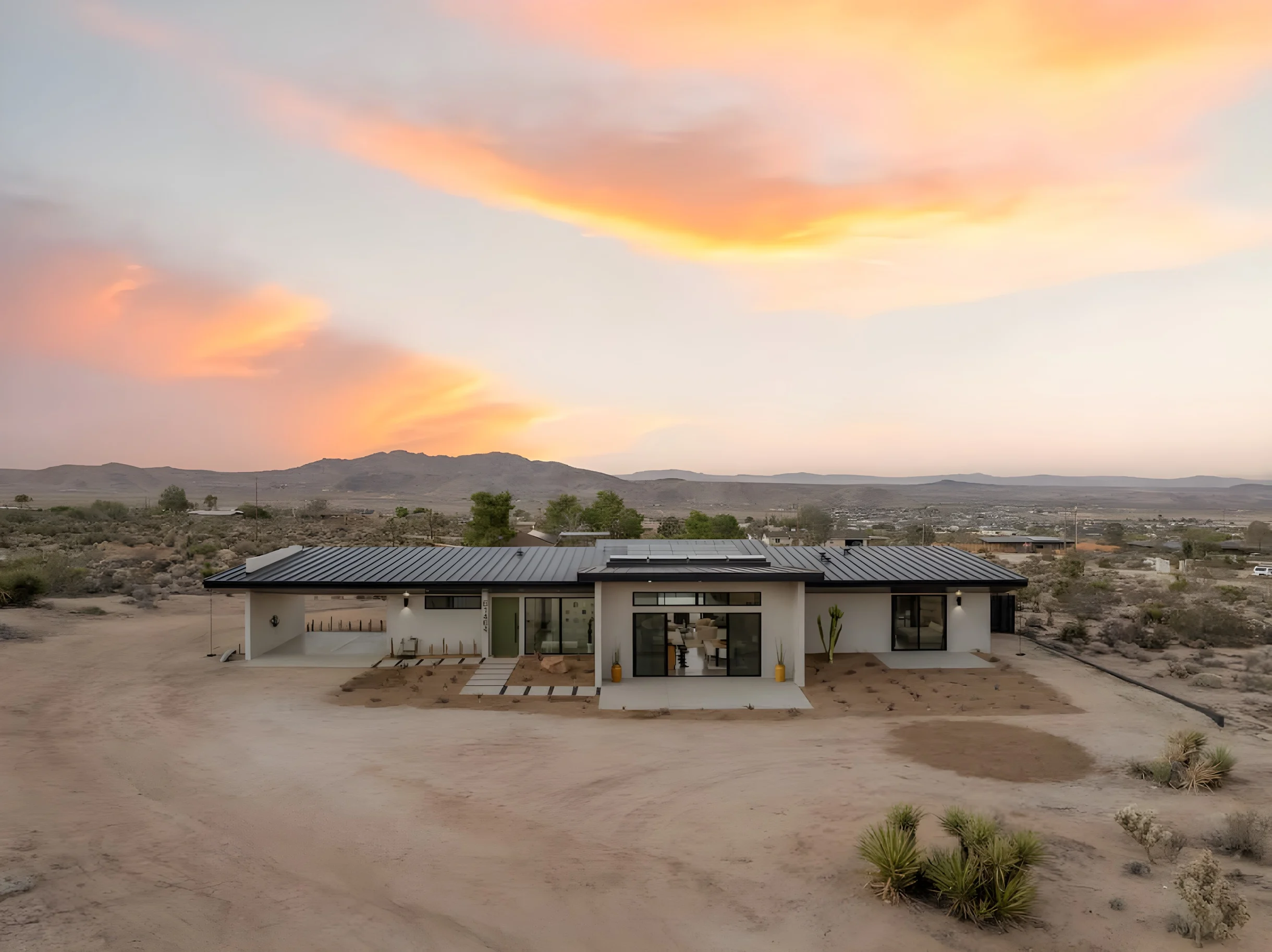 Wander Joshua Tree Lucent #4
