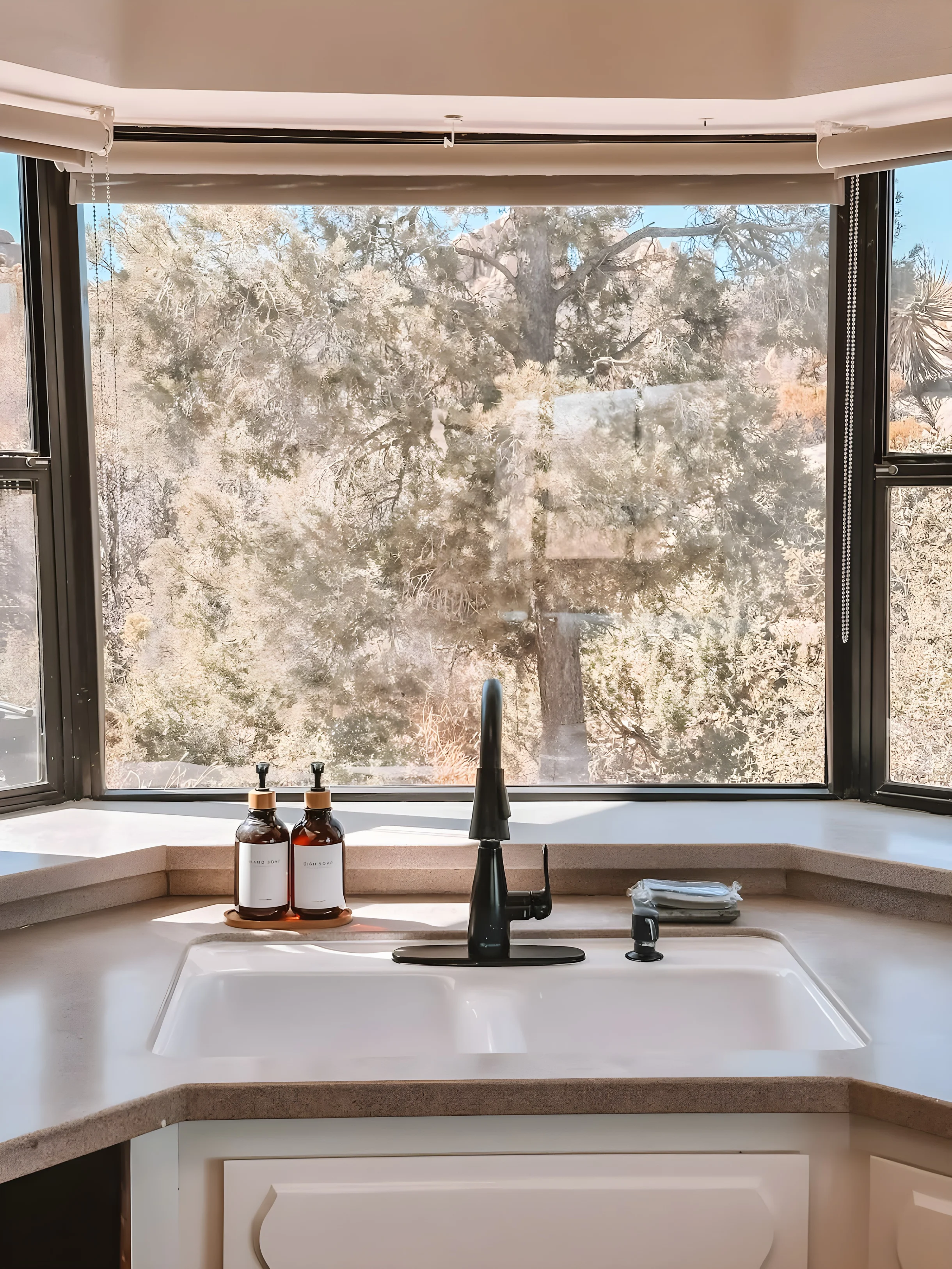 Wander Joshua Tree Creosote #43