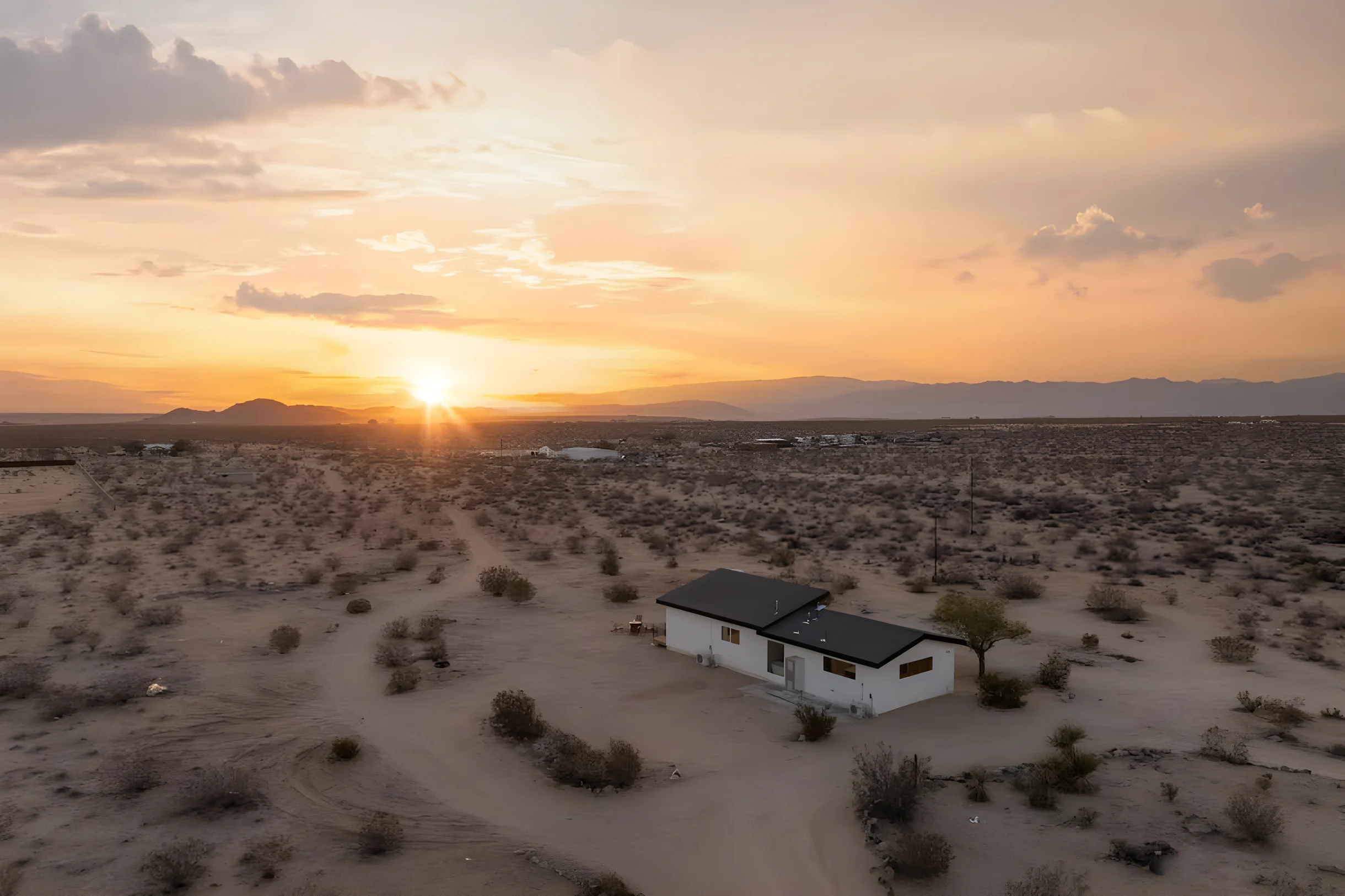 Wander Joshua Tree Dunes #13