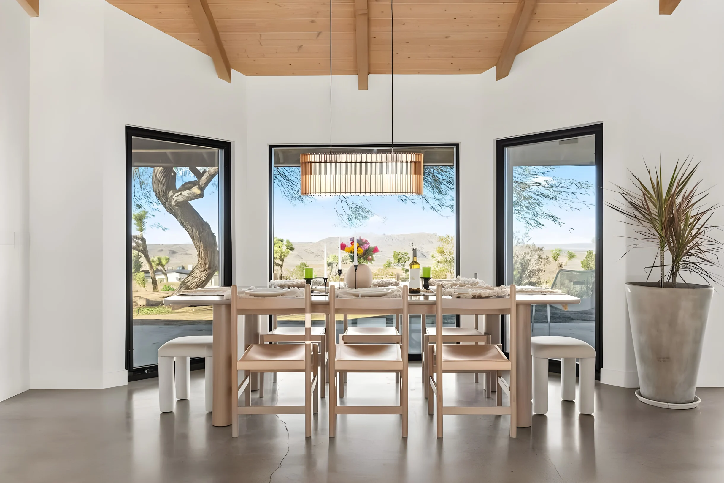 Wander Joshua Tree Twilight #31