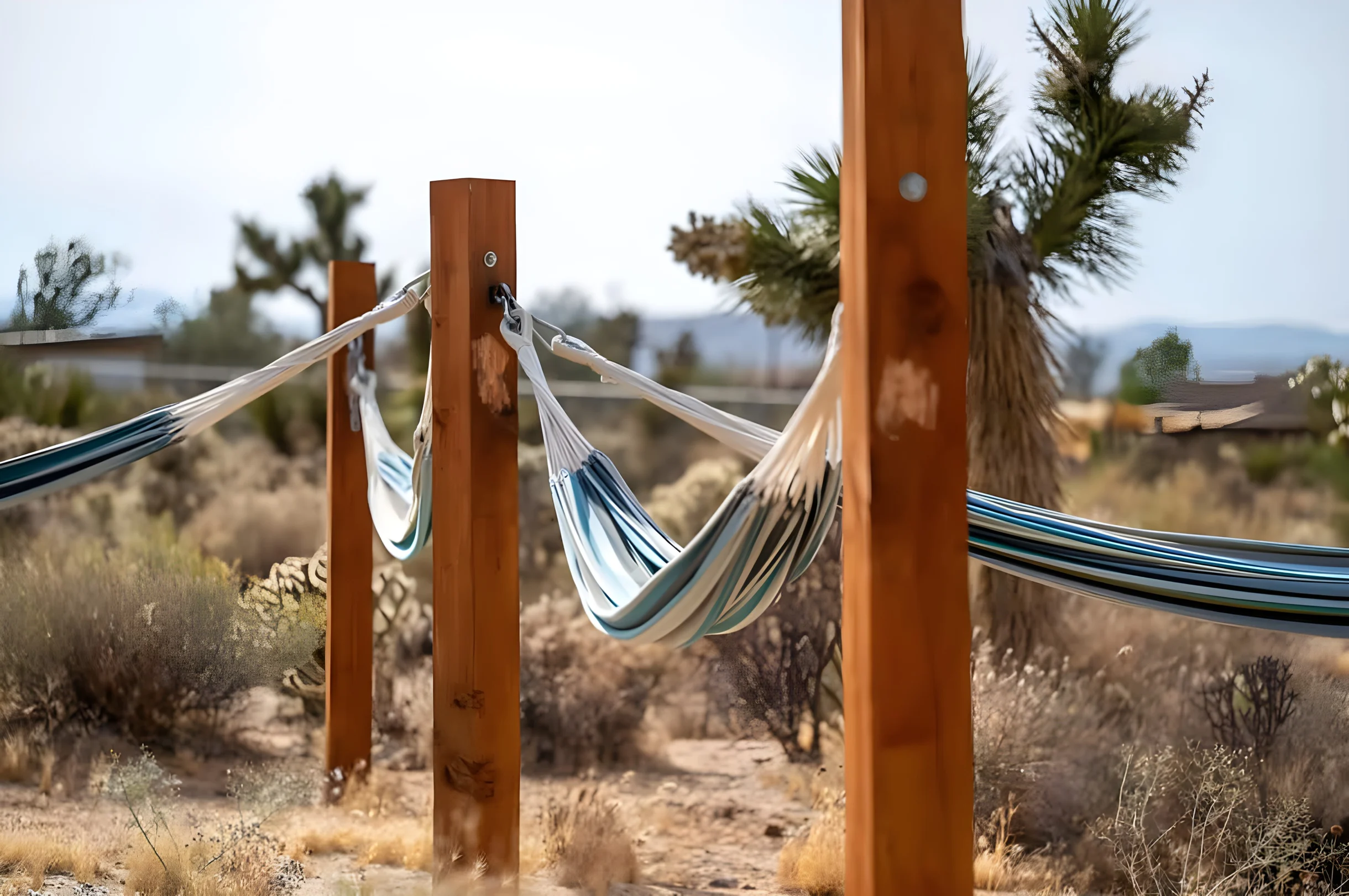 Wander Joshua Tree Granite #33