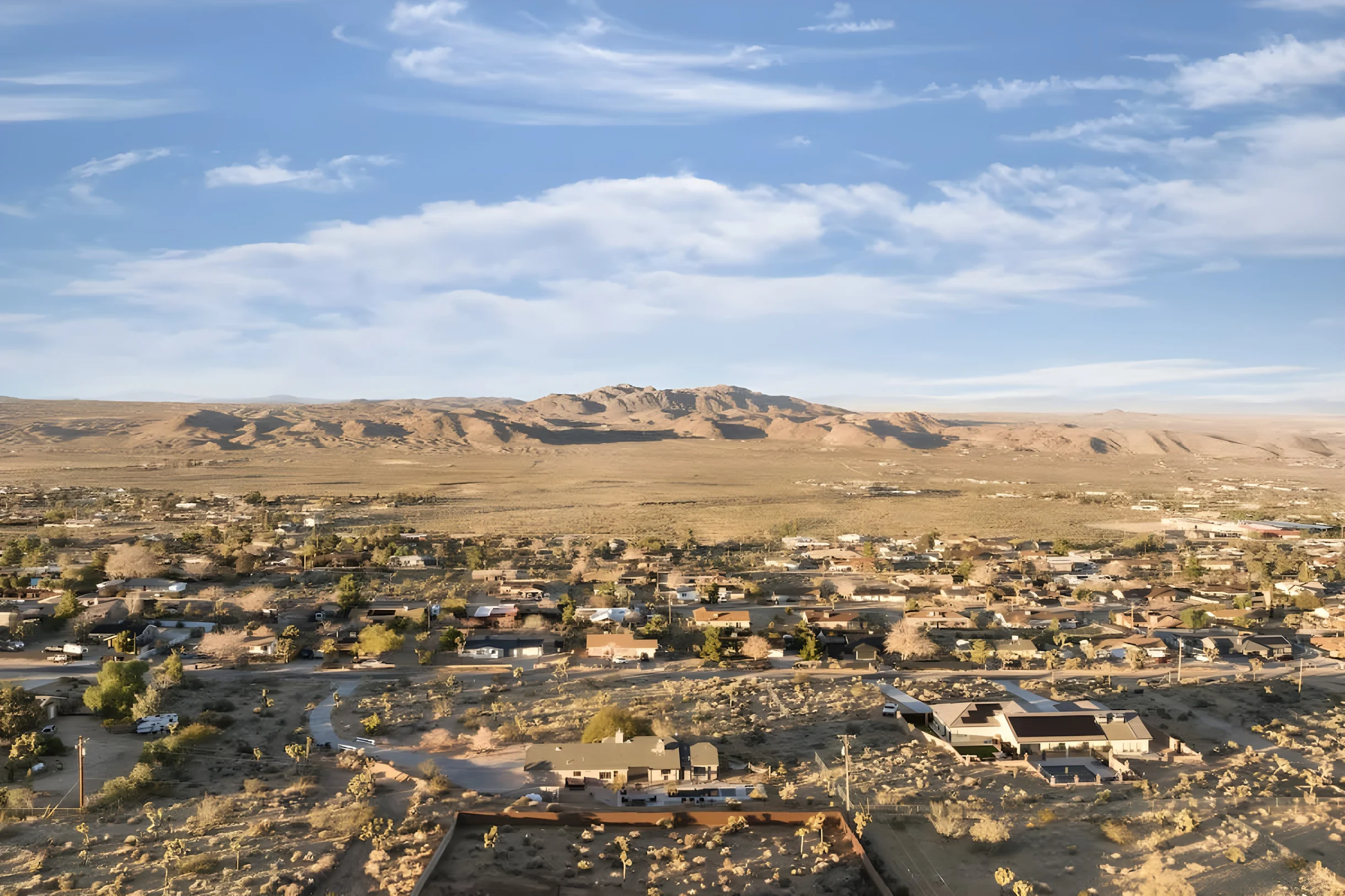 Wander Joshua Tree Twilight #40