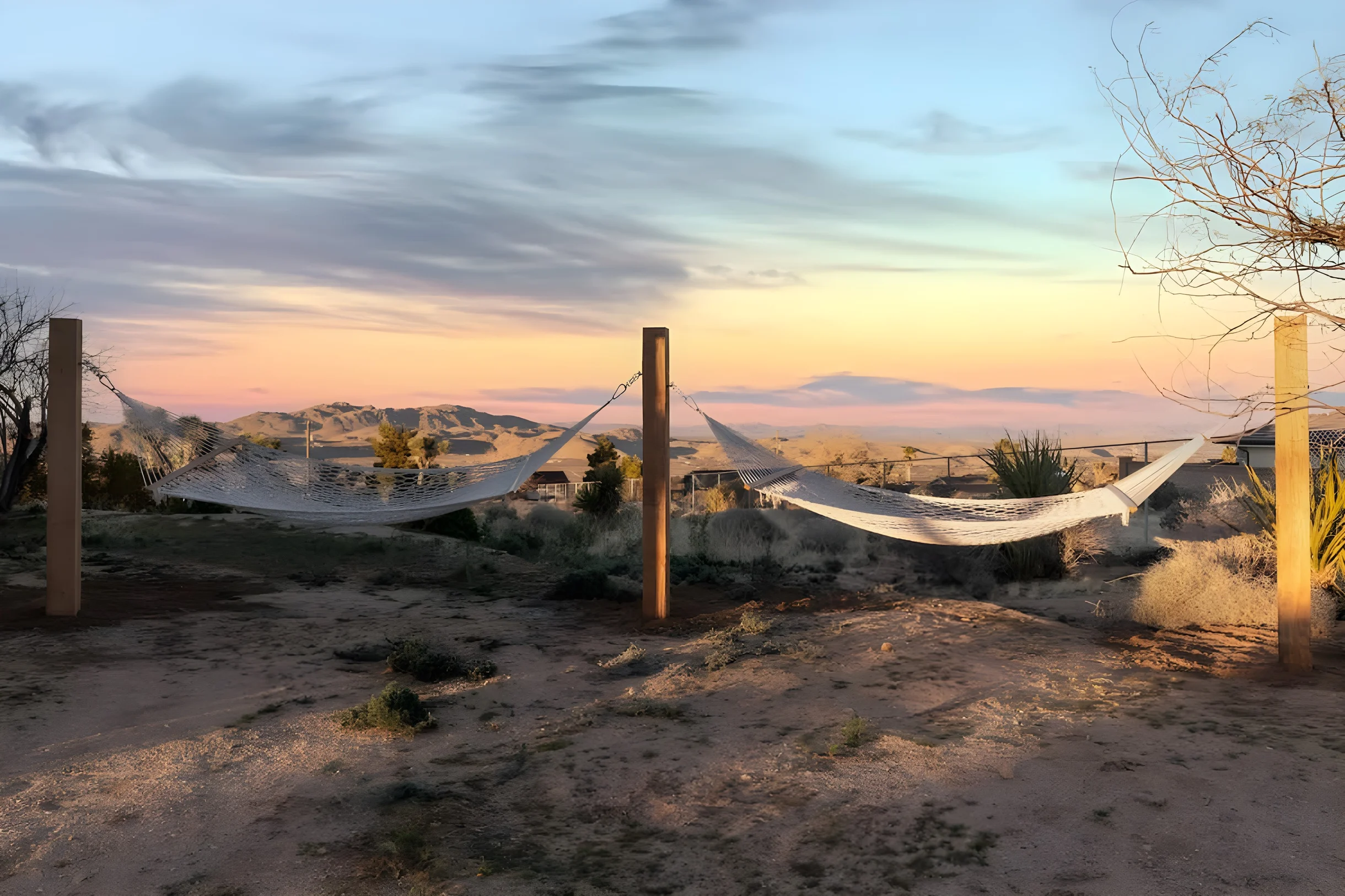 Wander Joshua Tree Twilight #15