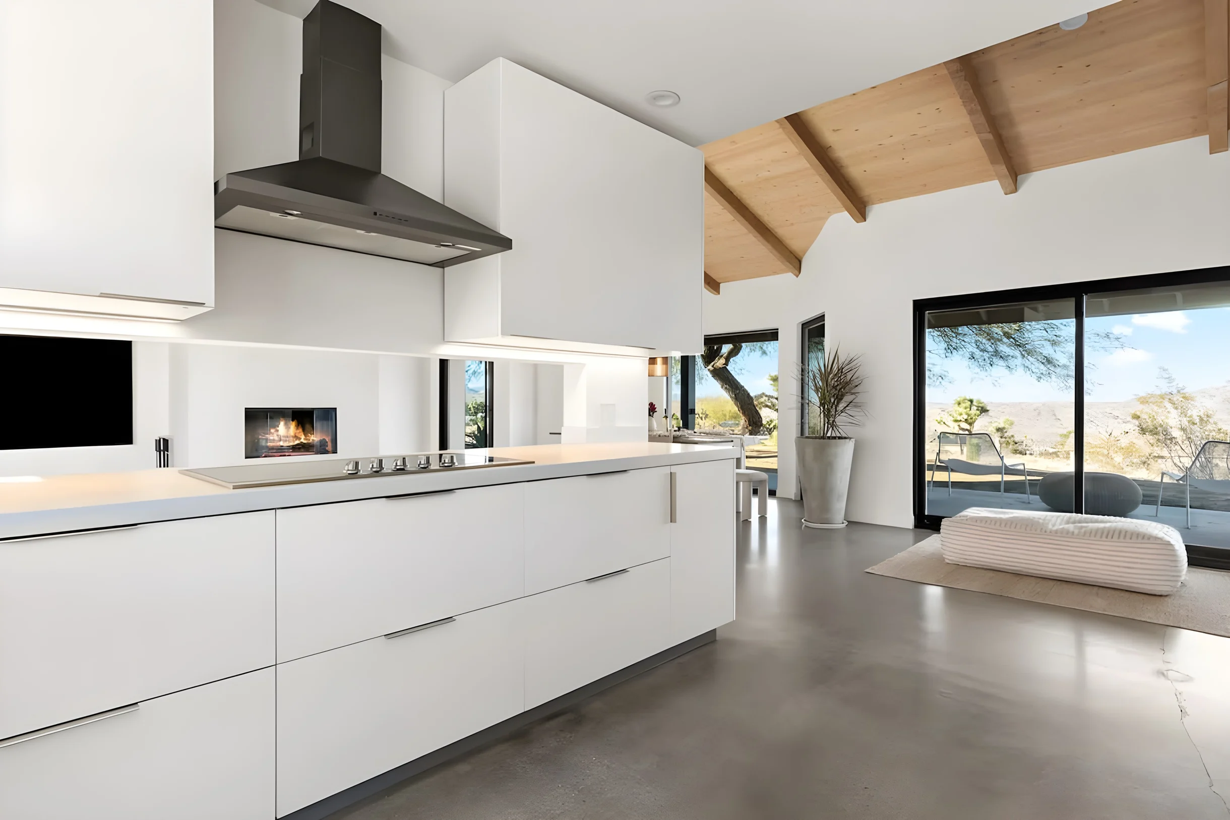 Wander Joshua Tree Twilight #19