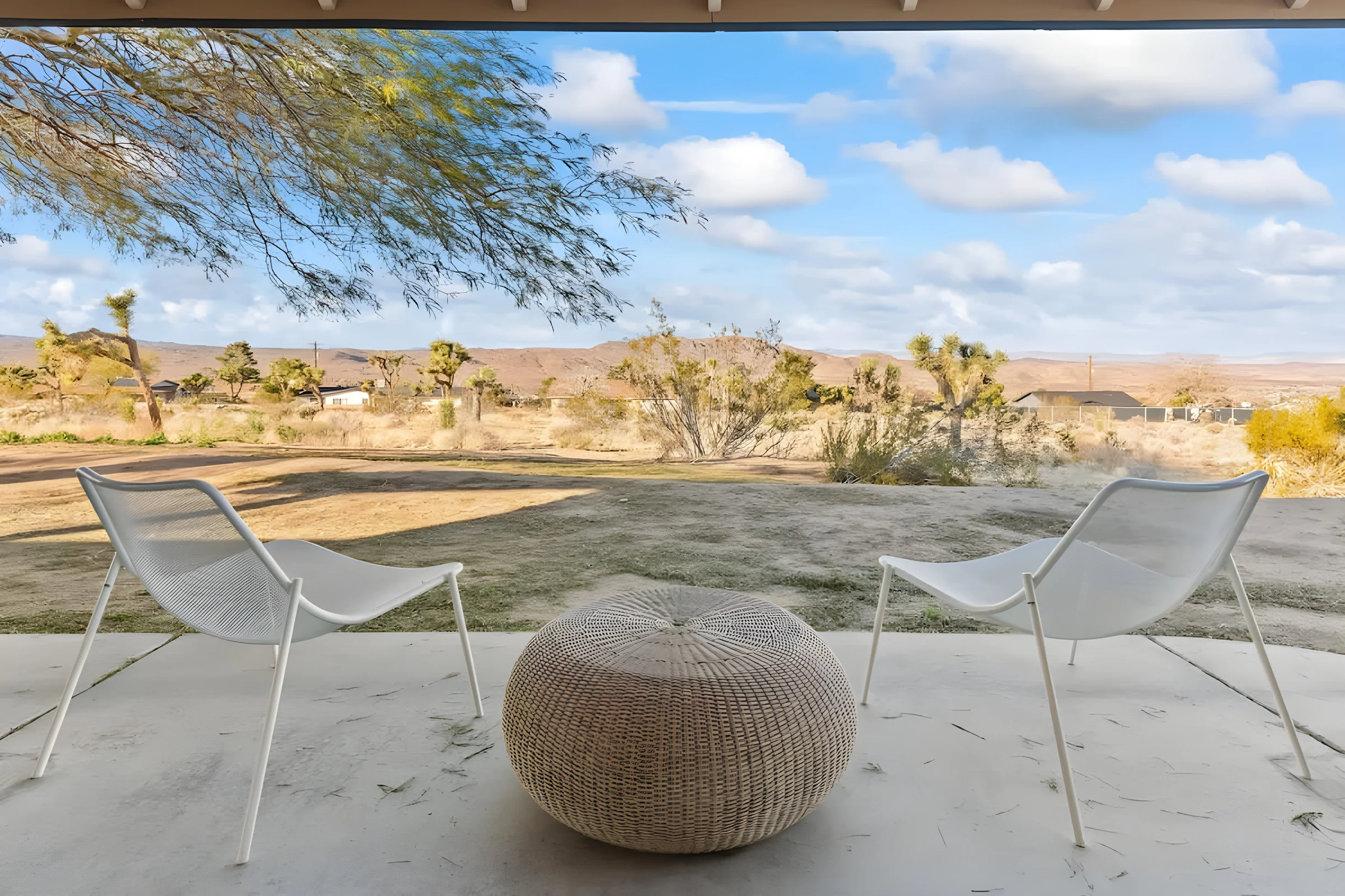 Wander Joshua Tree Twilight #37