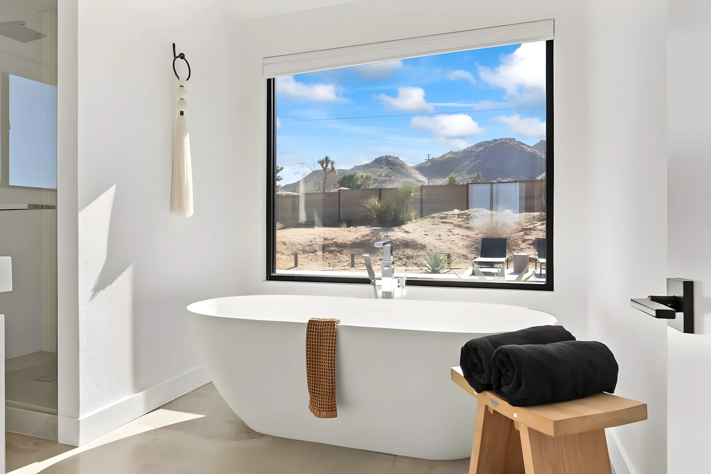 Wander Joshua Tree Twilight #9