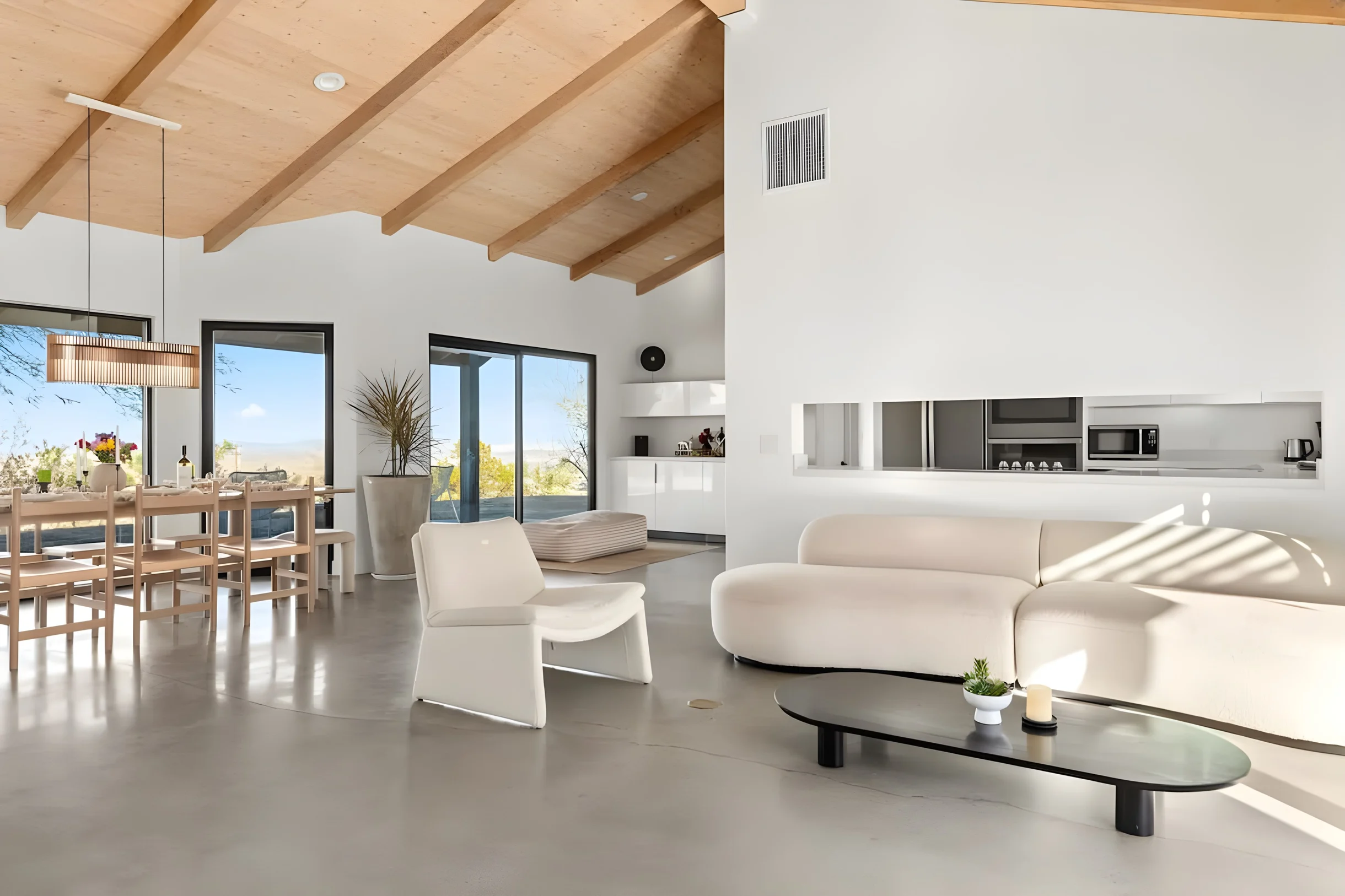 Wander Joshua Tree Twilight #32